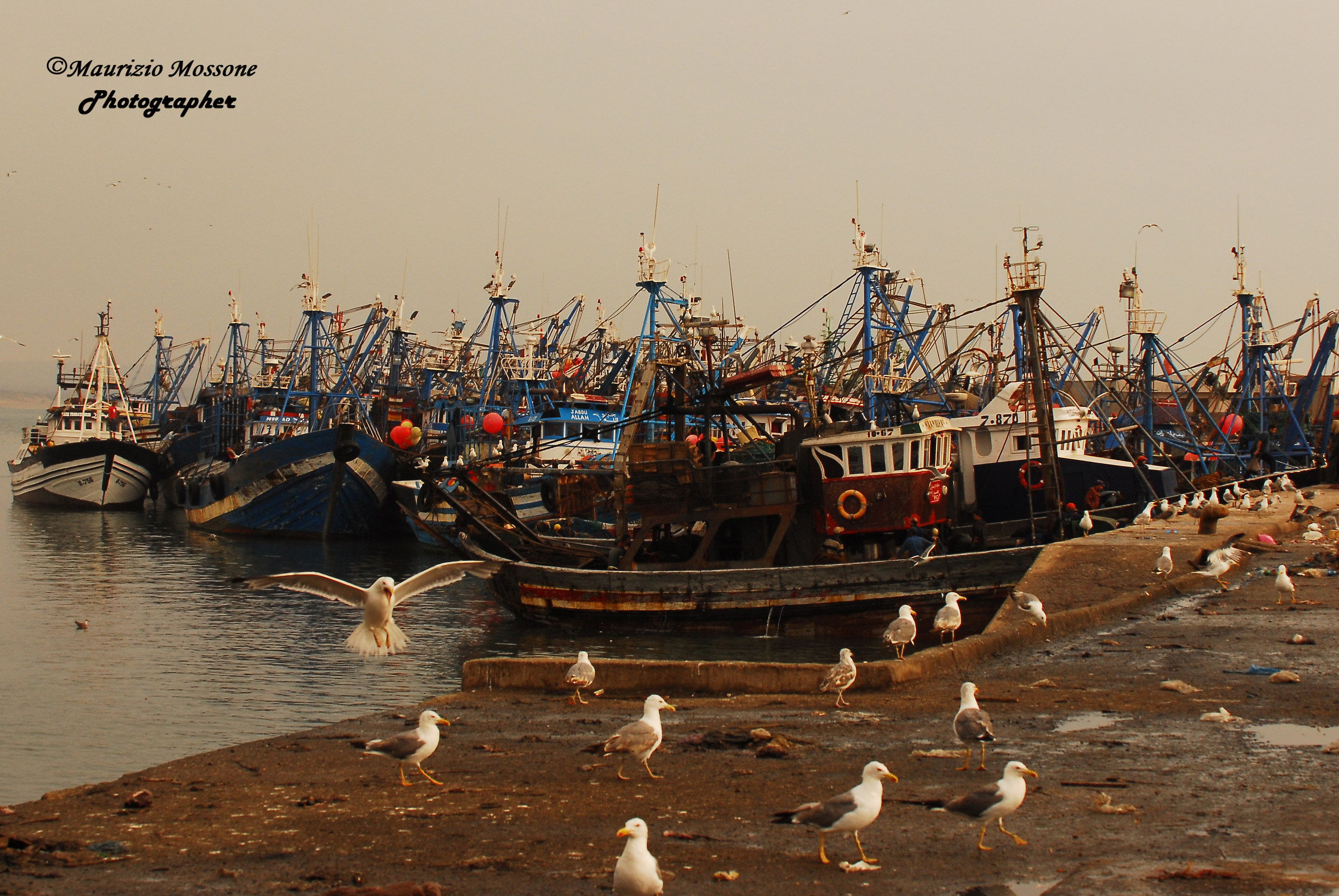 Pescherecci a Essaouira