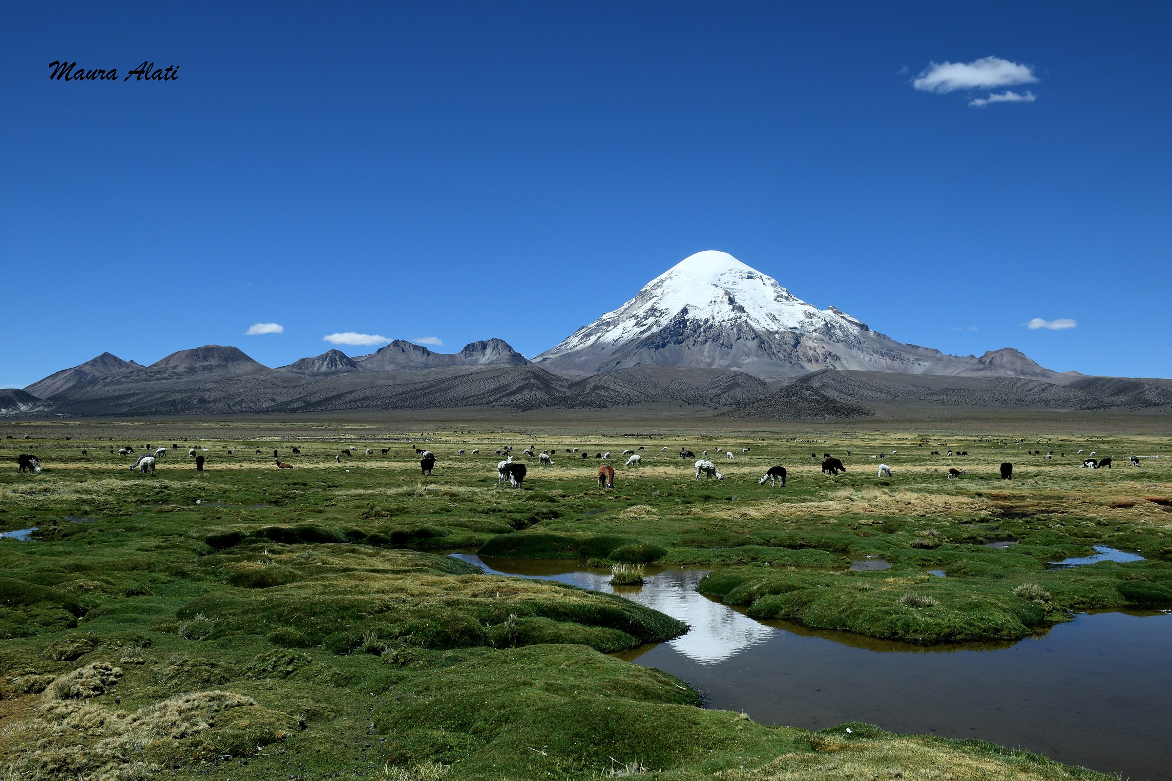 Bolivia - Sajama National Park