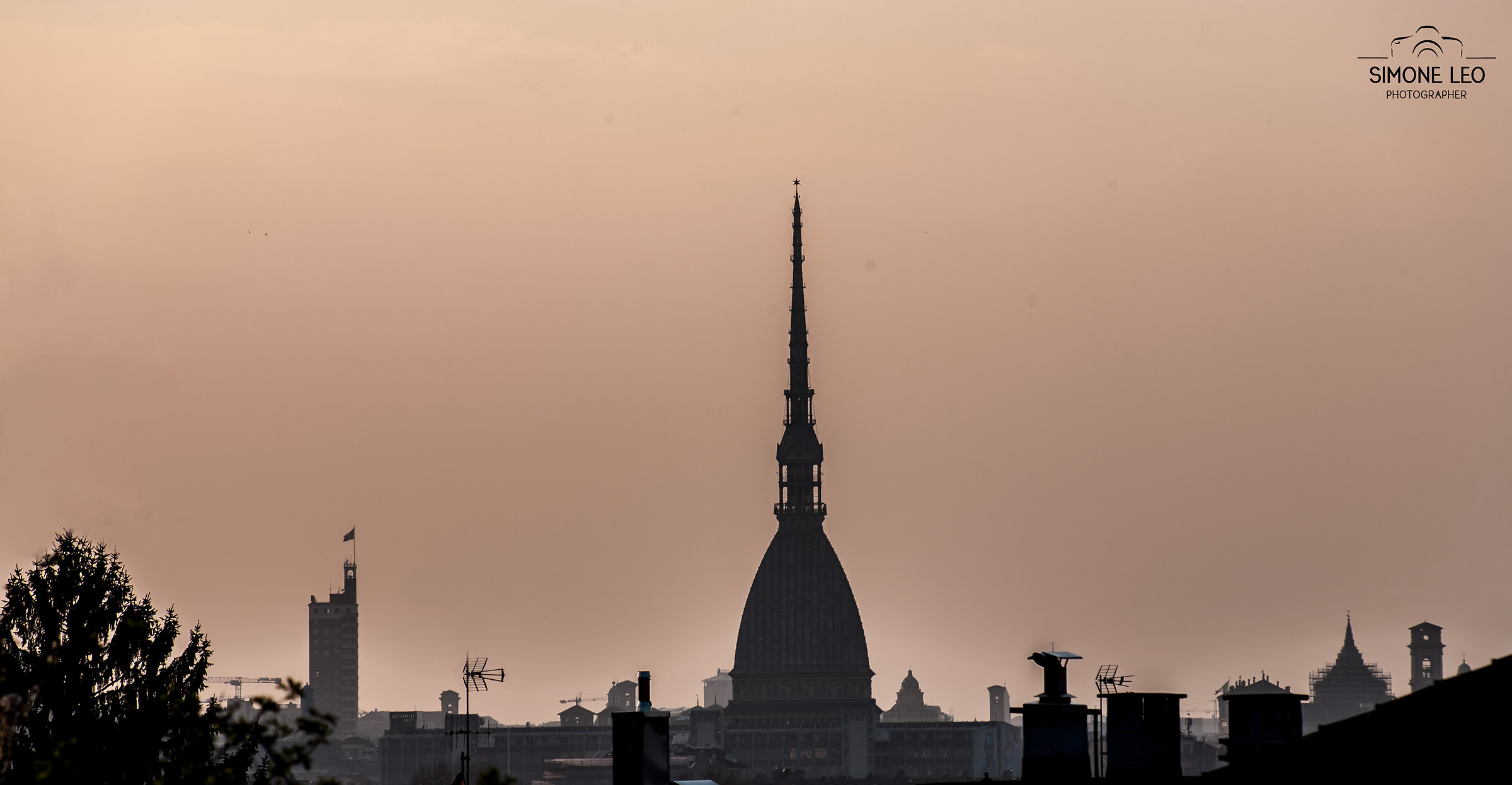 Torino in stile "Aristogatti"