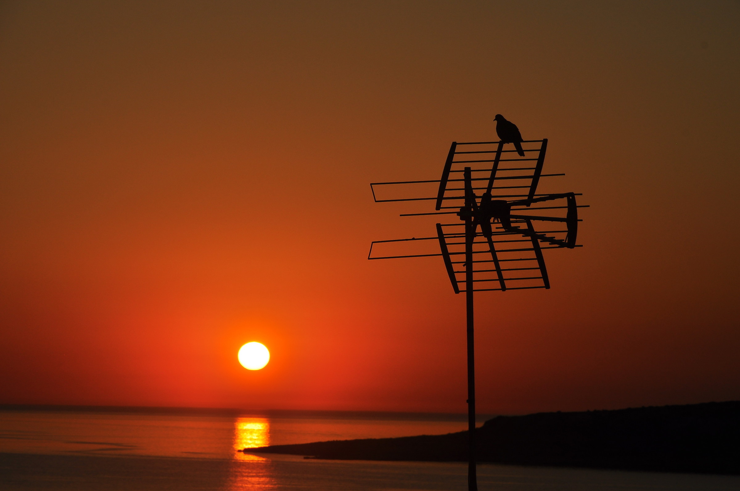 His favorite pastime