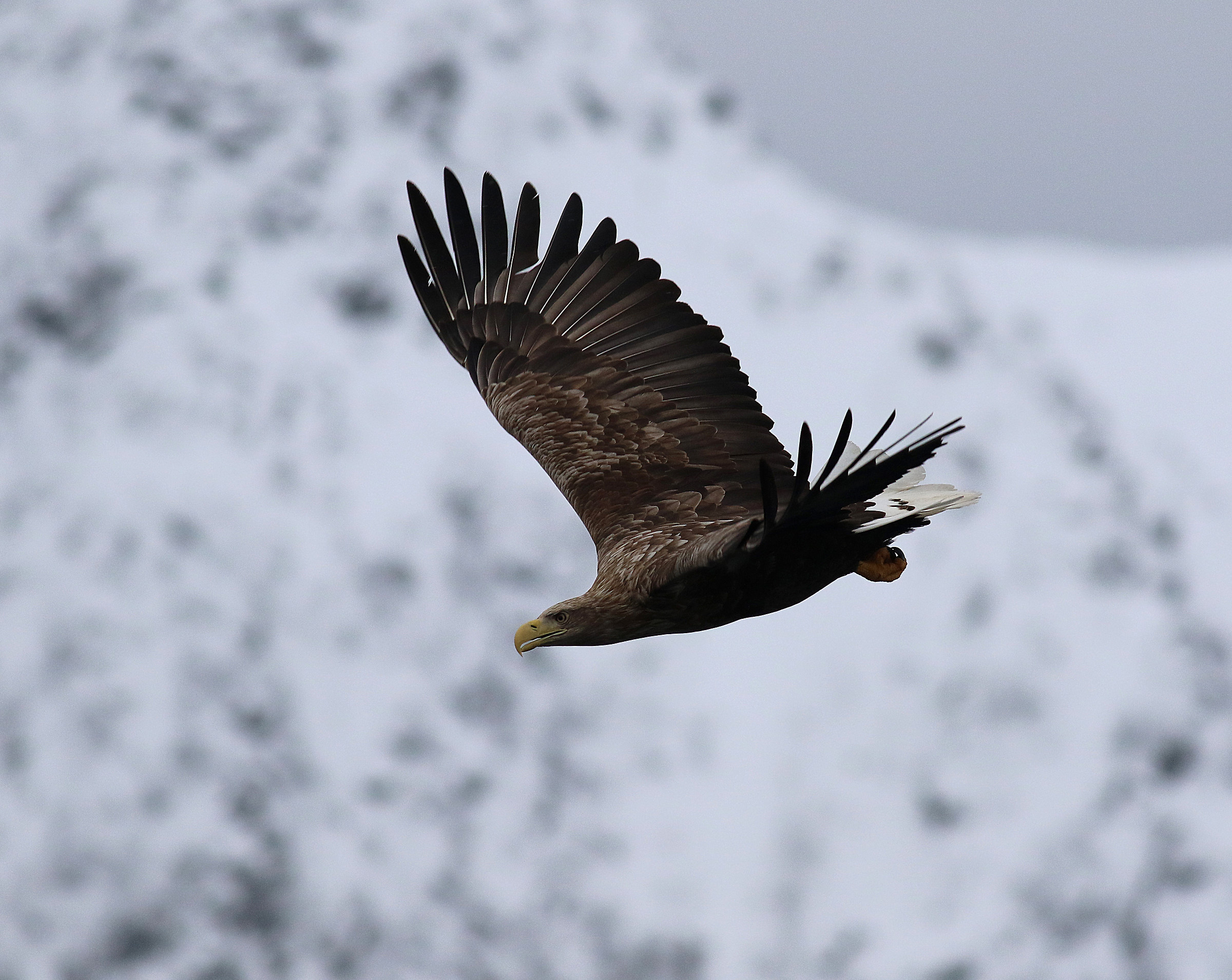 Norway- Lofoten Islands.