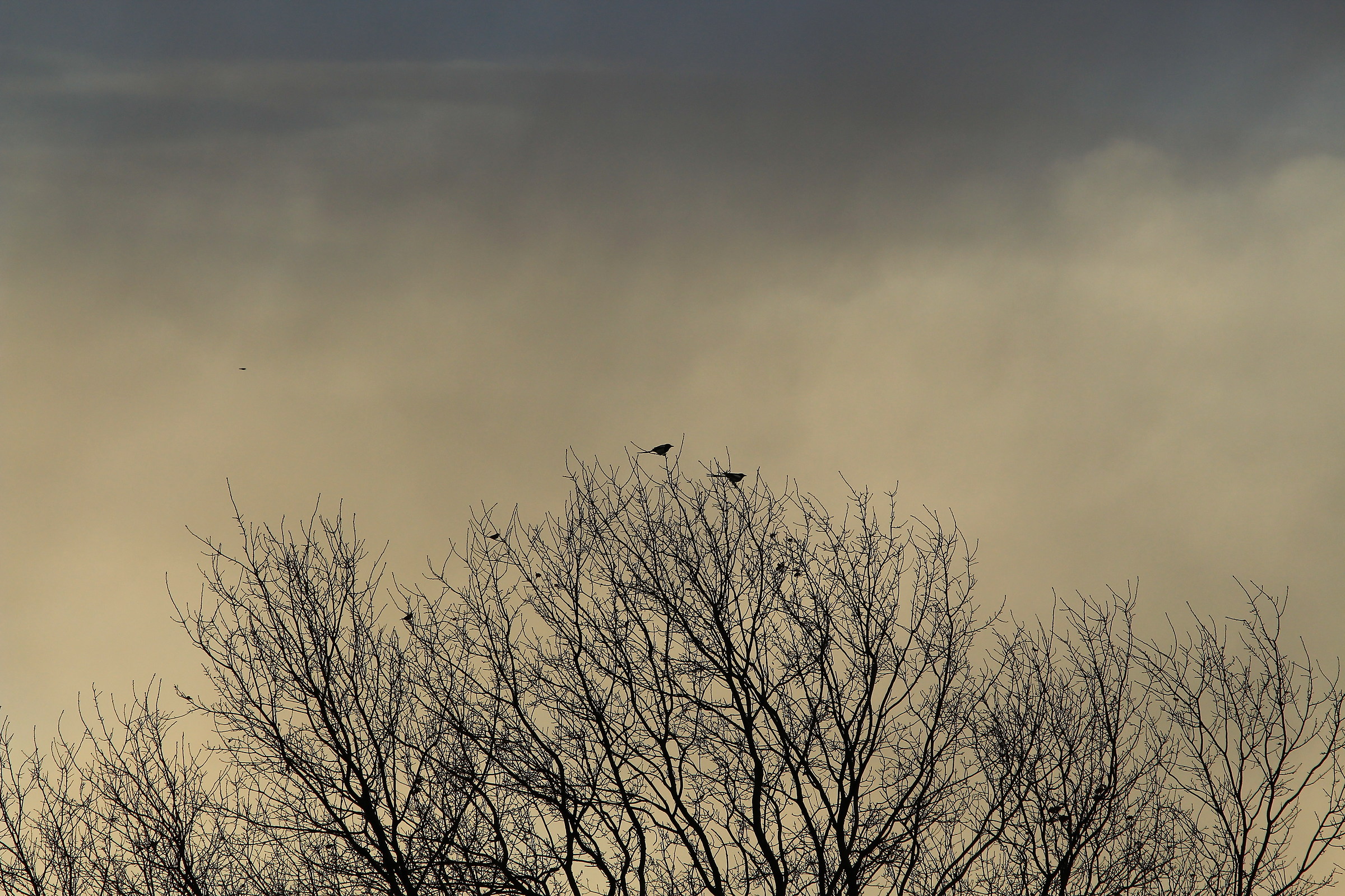 Dopo il temporale...