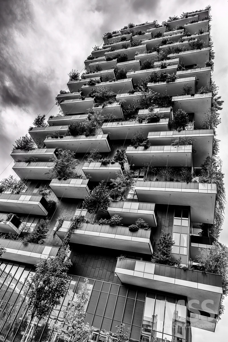 Bosco verticale 2