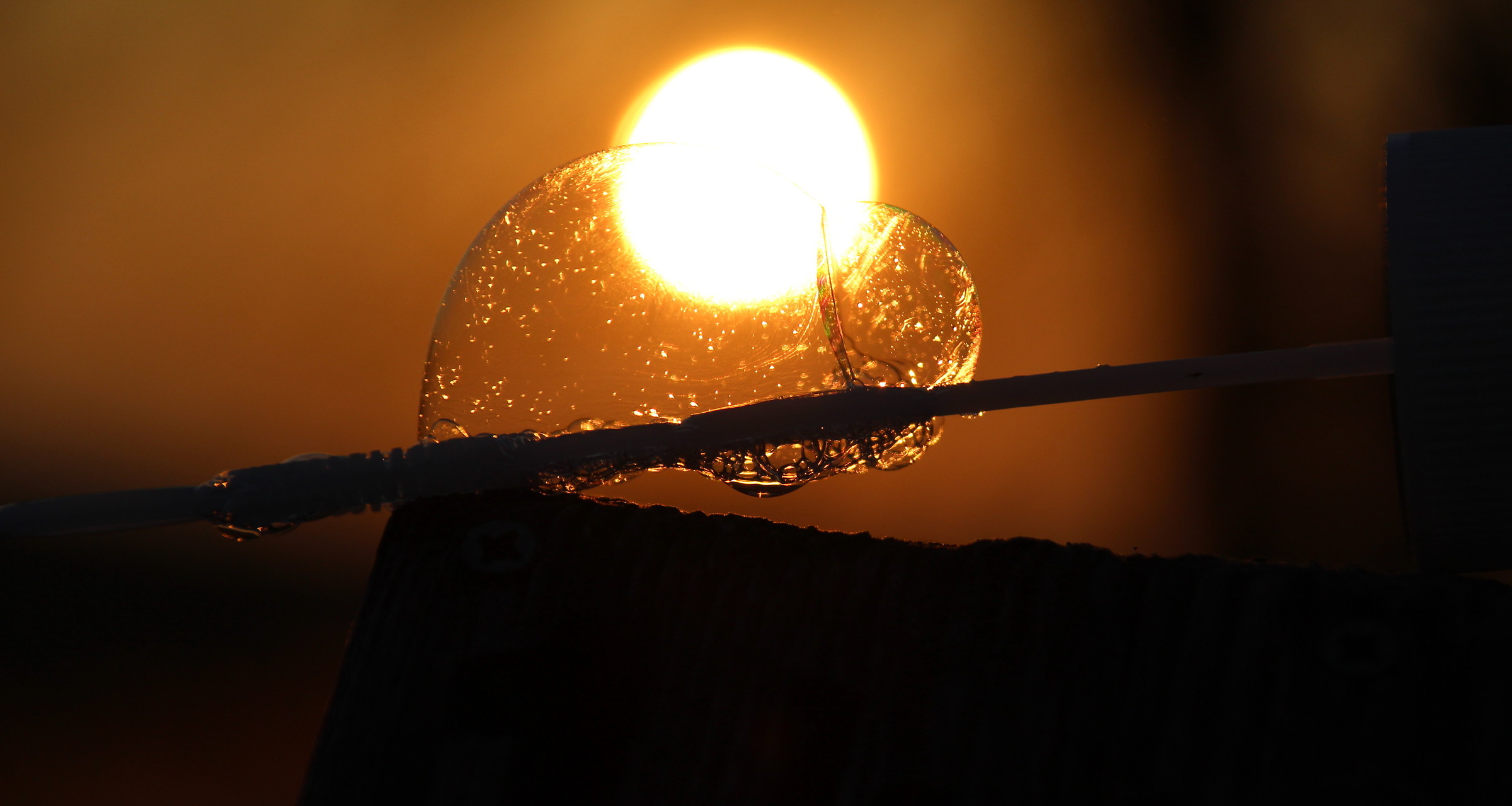 Bubbles and sunshine