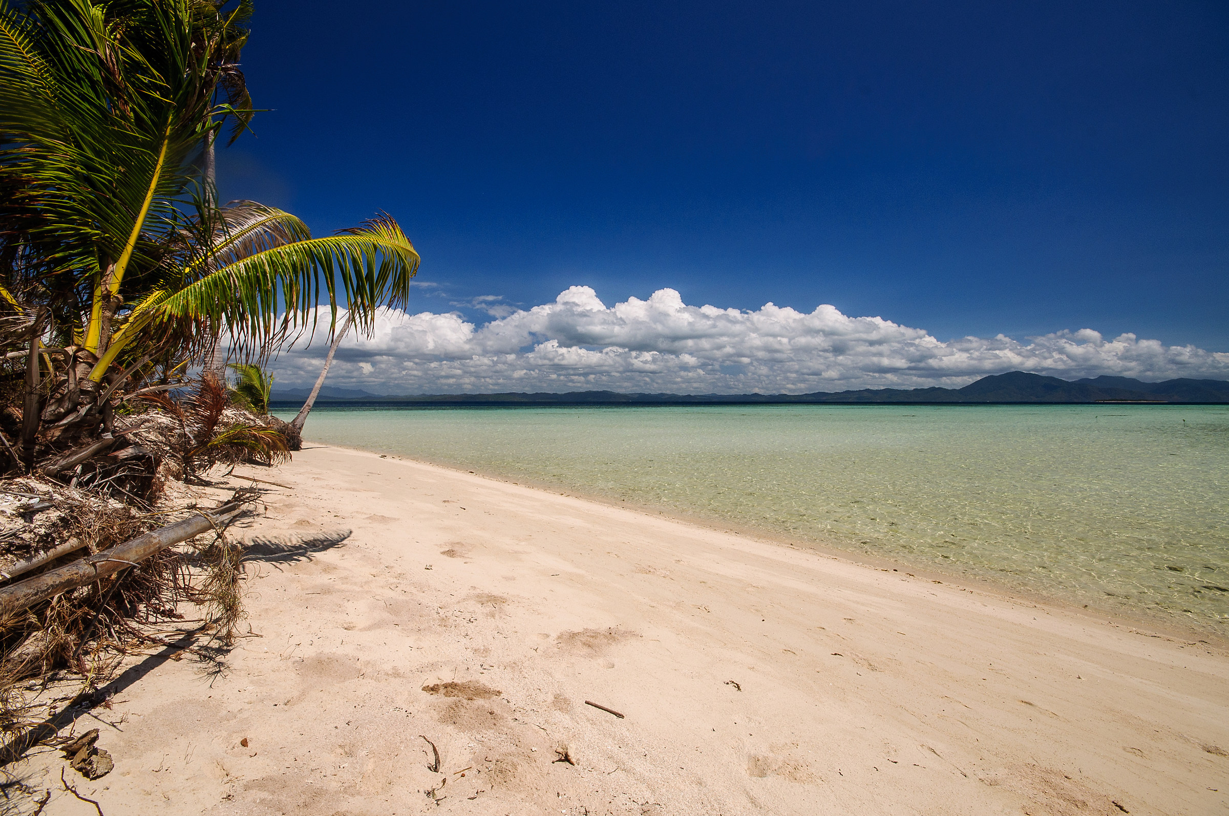 Al Modessa ci si pesta!