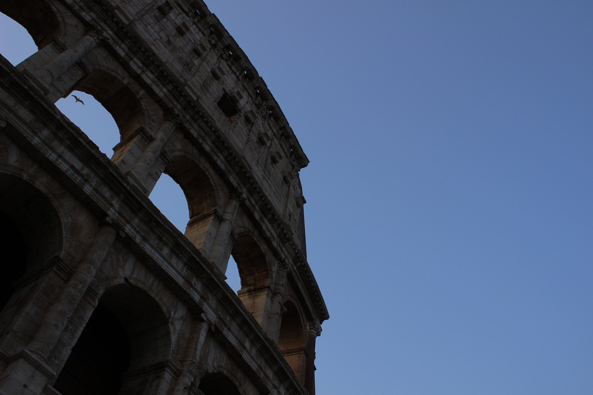 High in the sky, flying ...