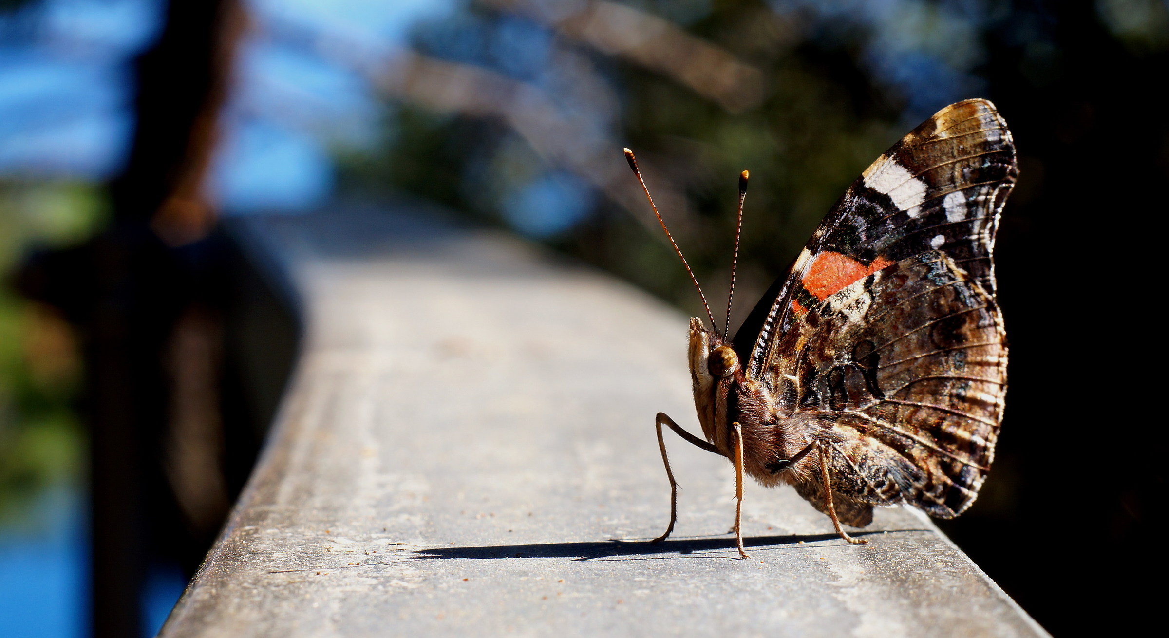 Sullla strada verso il celo