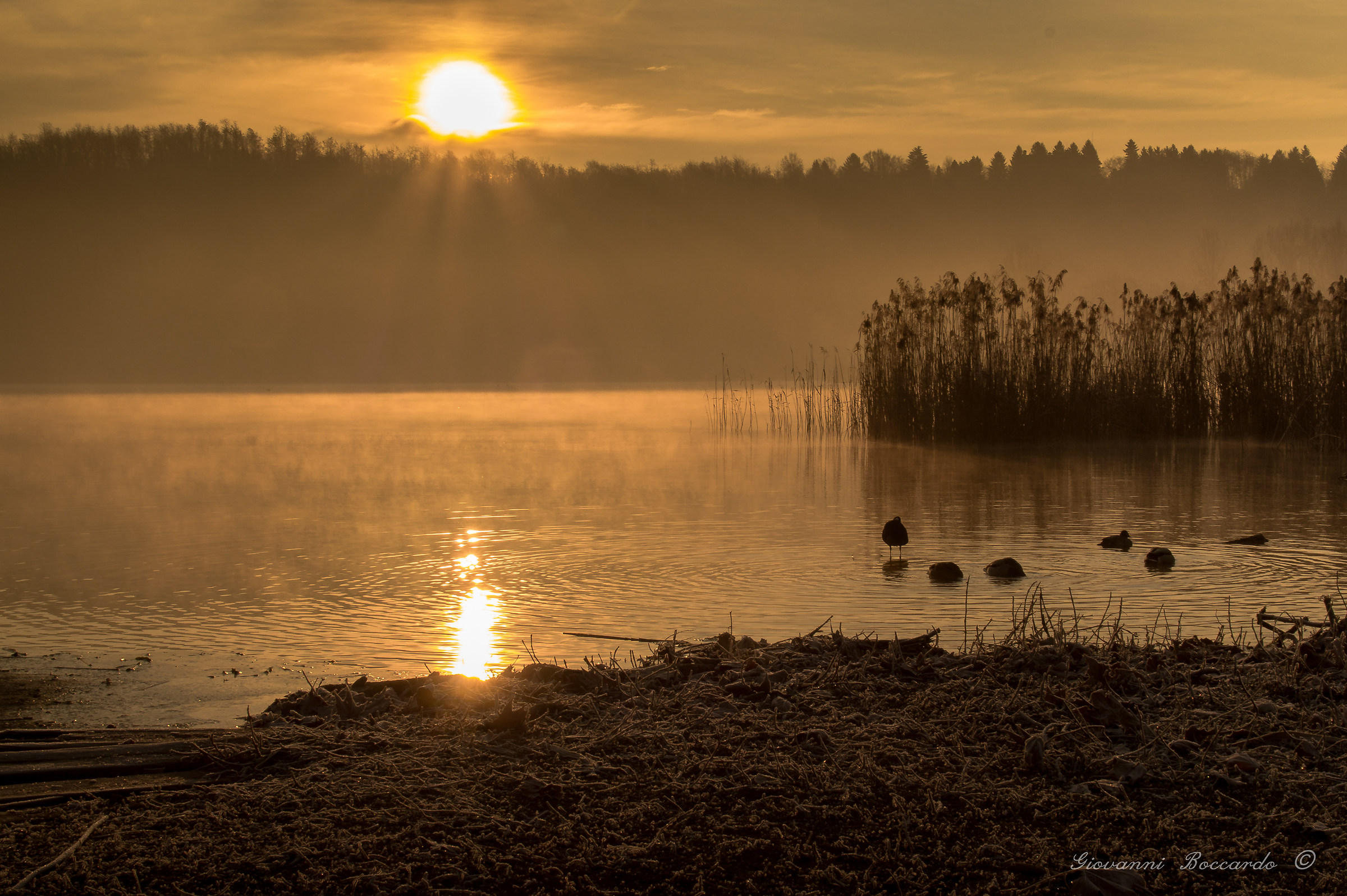 the birth of the sun