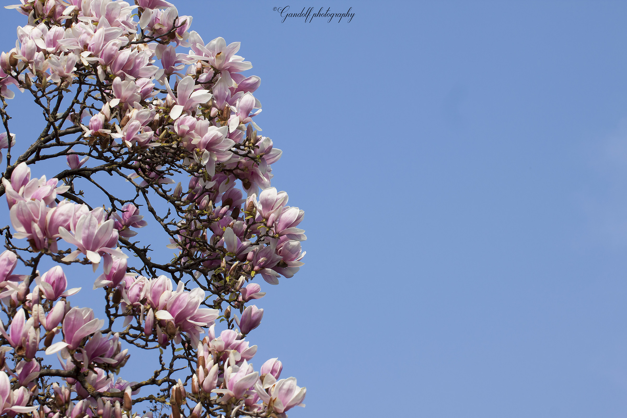 Colori di primavera 02