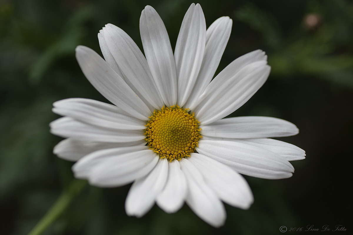 Simple and beautiful