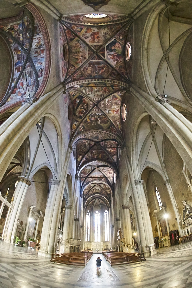 Arezzo Cathedral