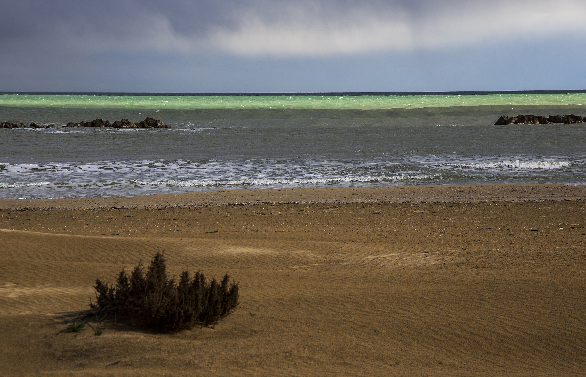 La sottile linea verde