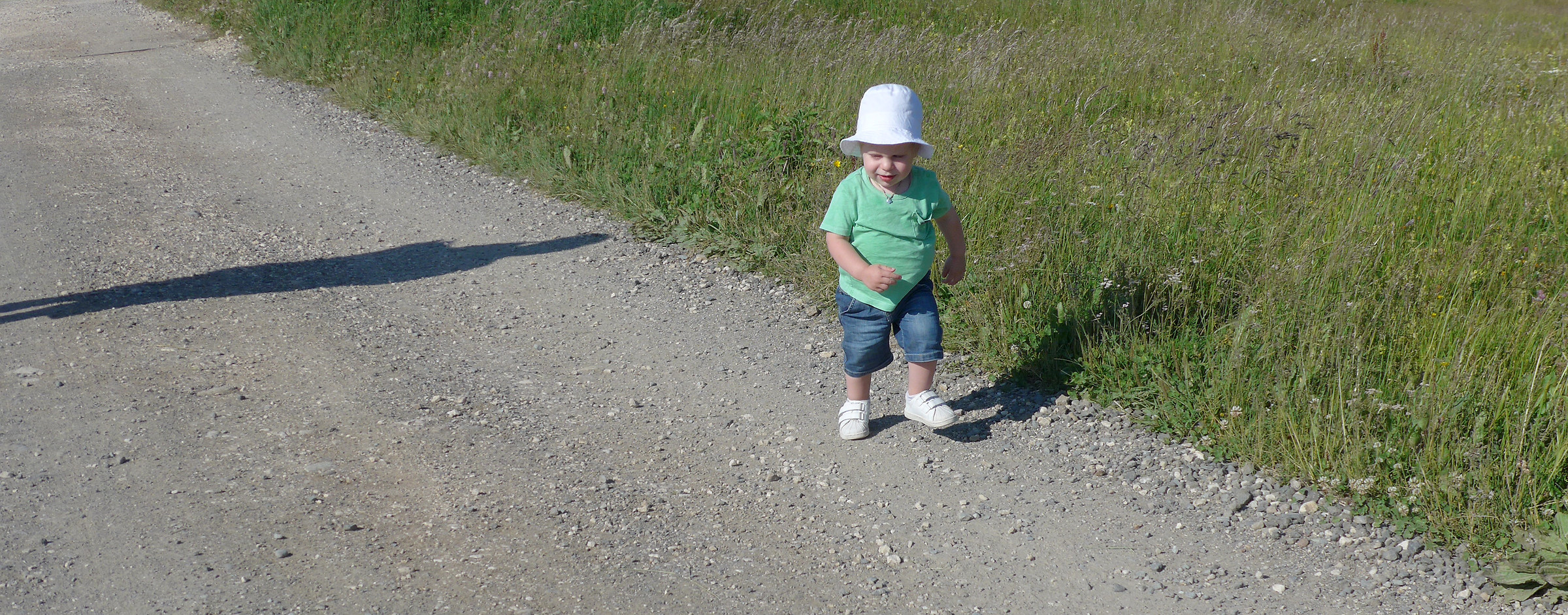 .....svelto il passo