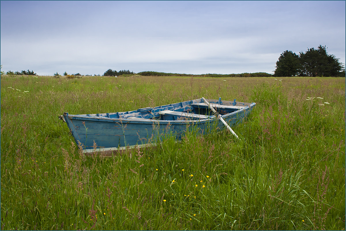 Gioco Post Produzione Scadenza Venerdi 1 Aprile leo45