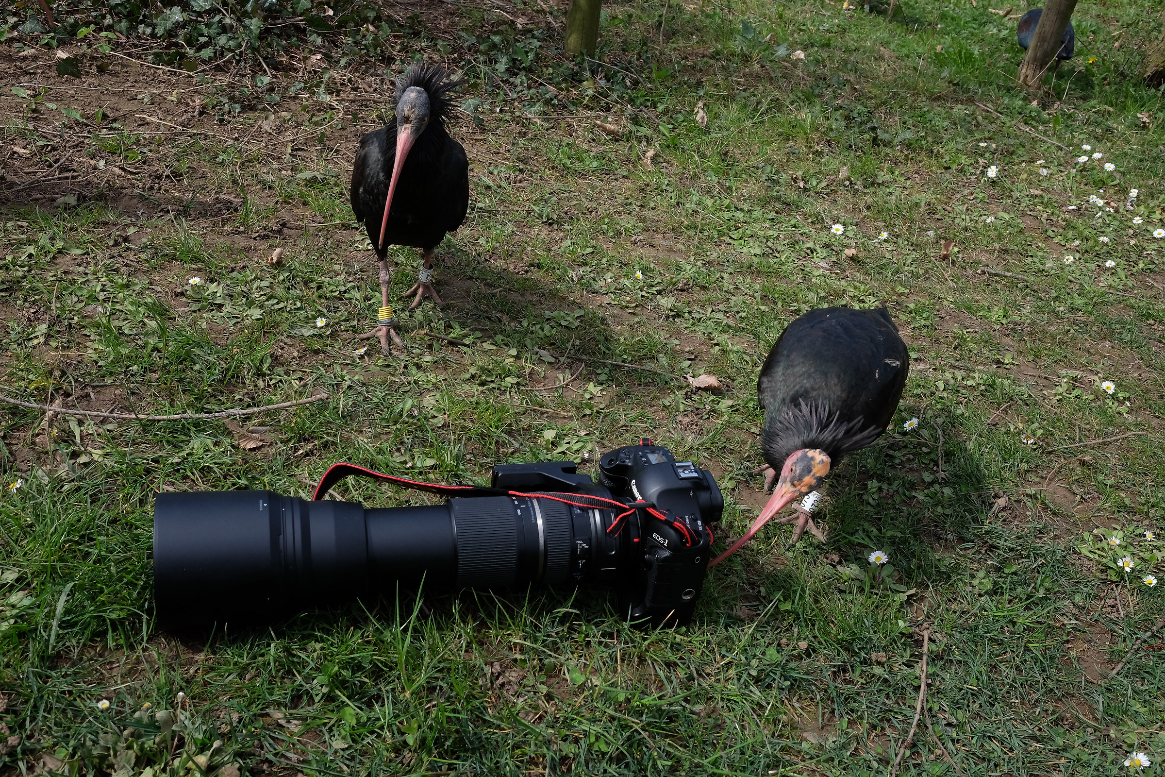 che pena...non ha neppure il touchscreen!!!