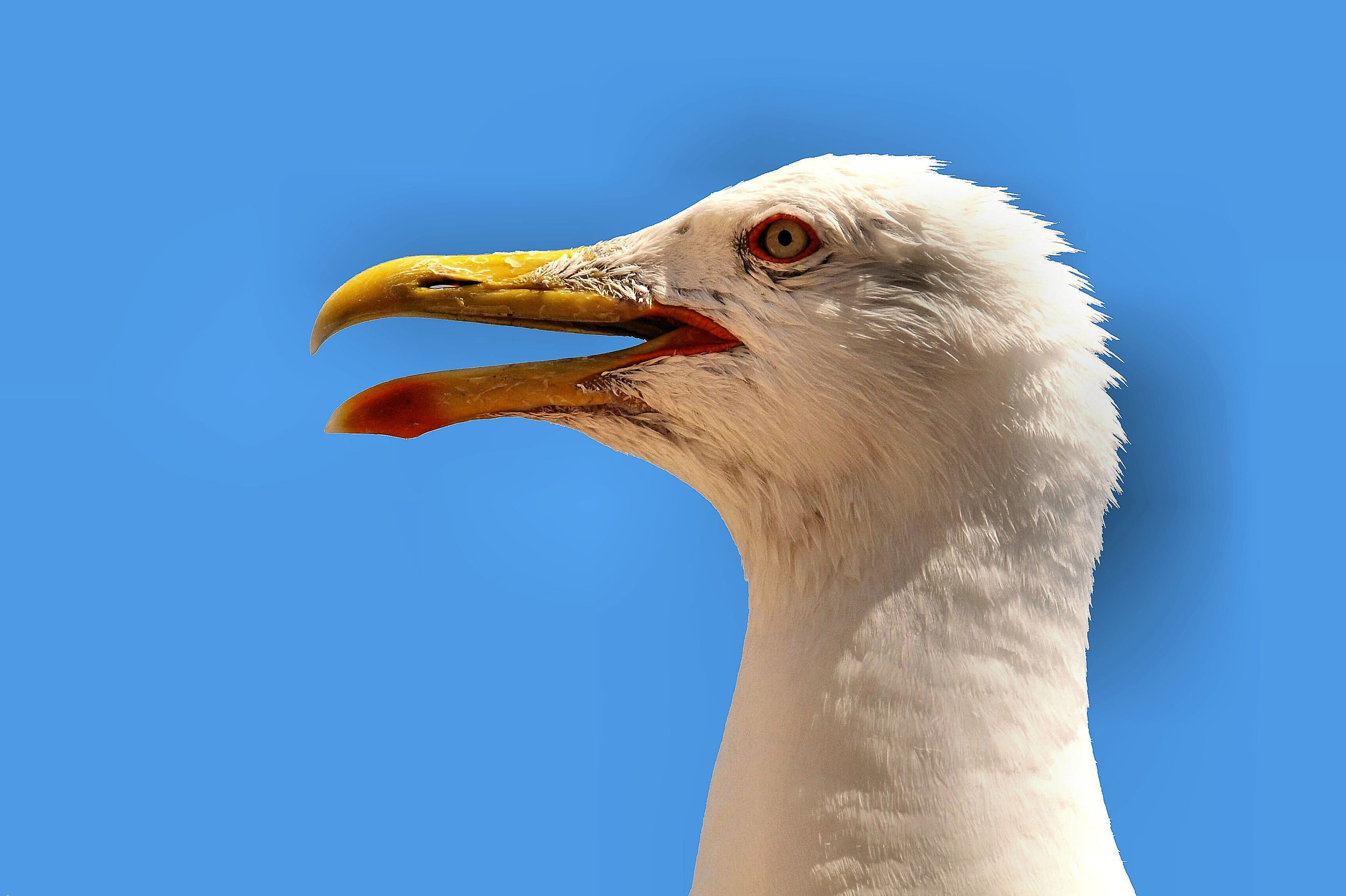 Panorami dal Mondo 3