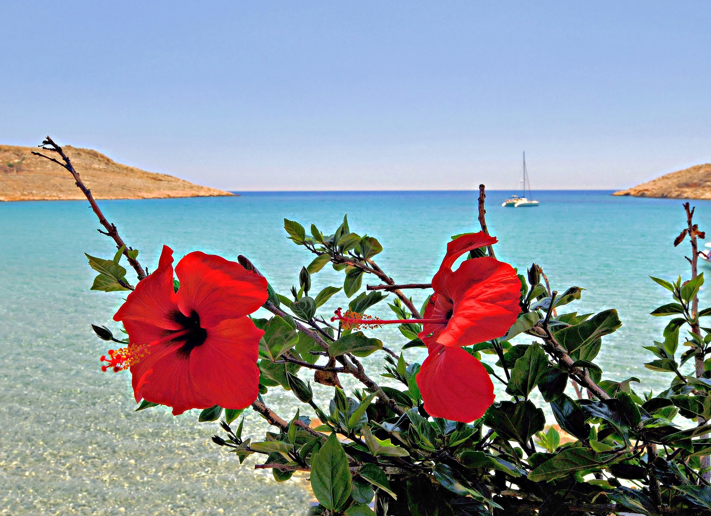 Panorami dal Mondo 3