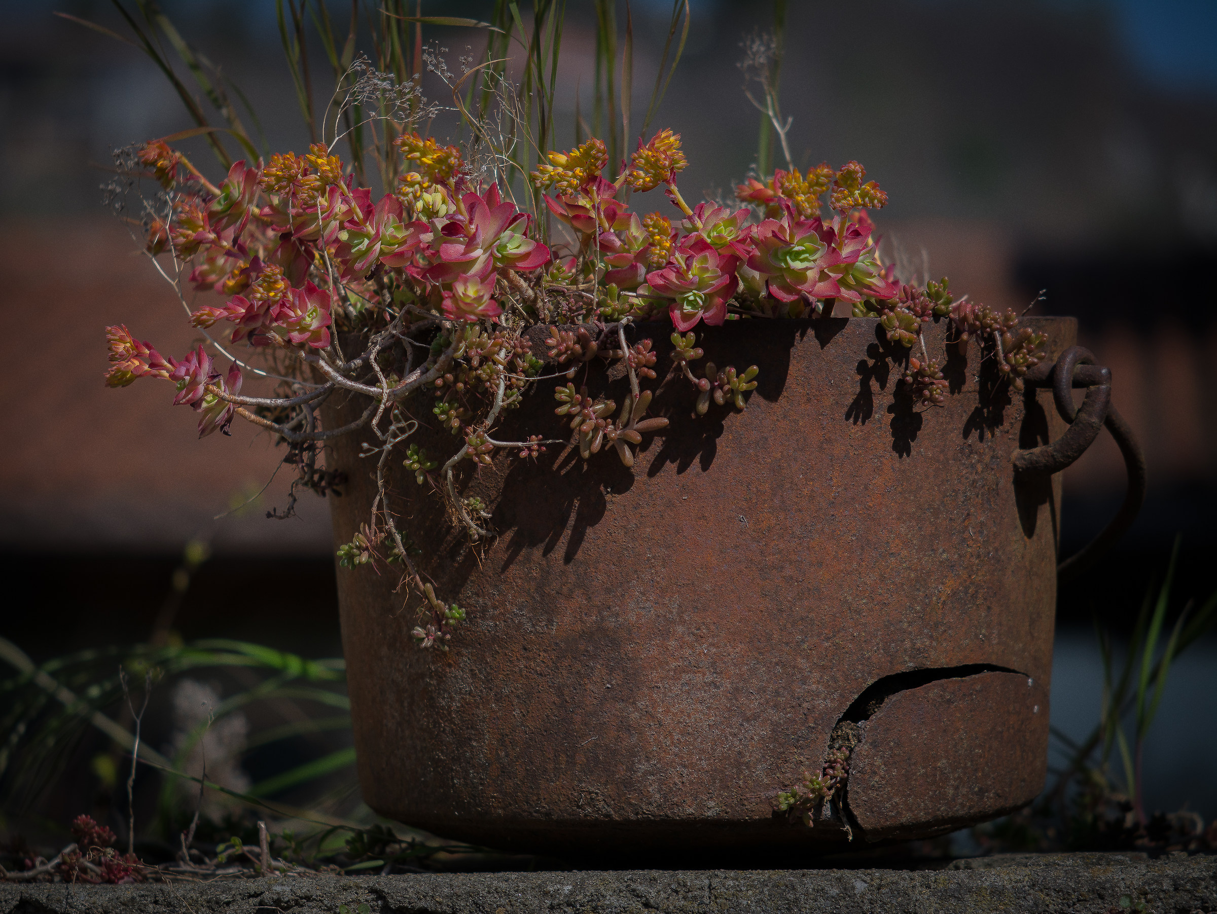 Il pentolone arruginito