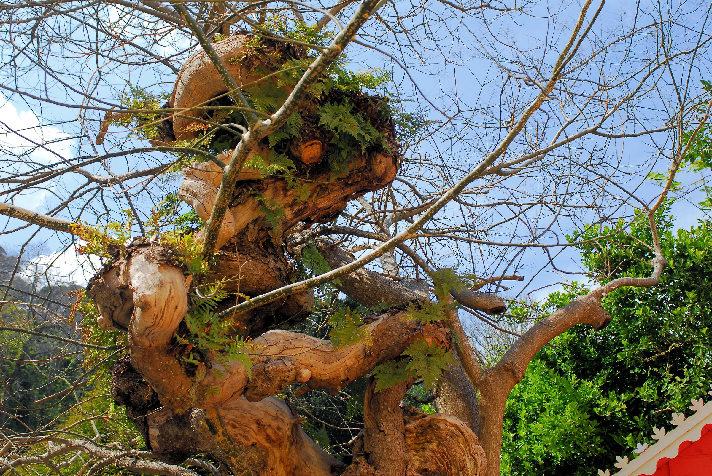 Panorami dal Mondo 3