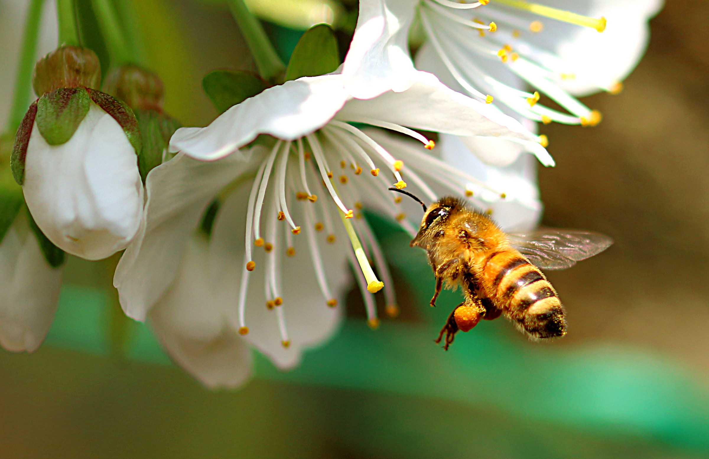 of supplies day !!!!