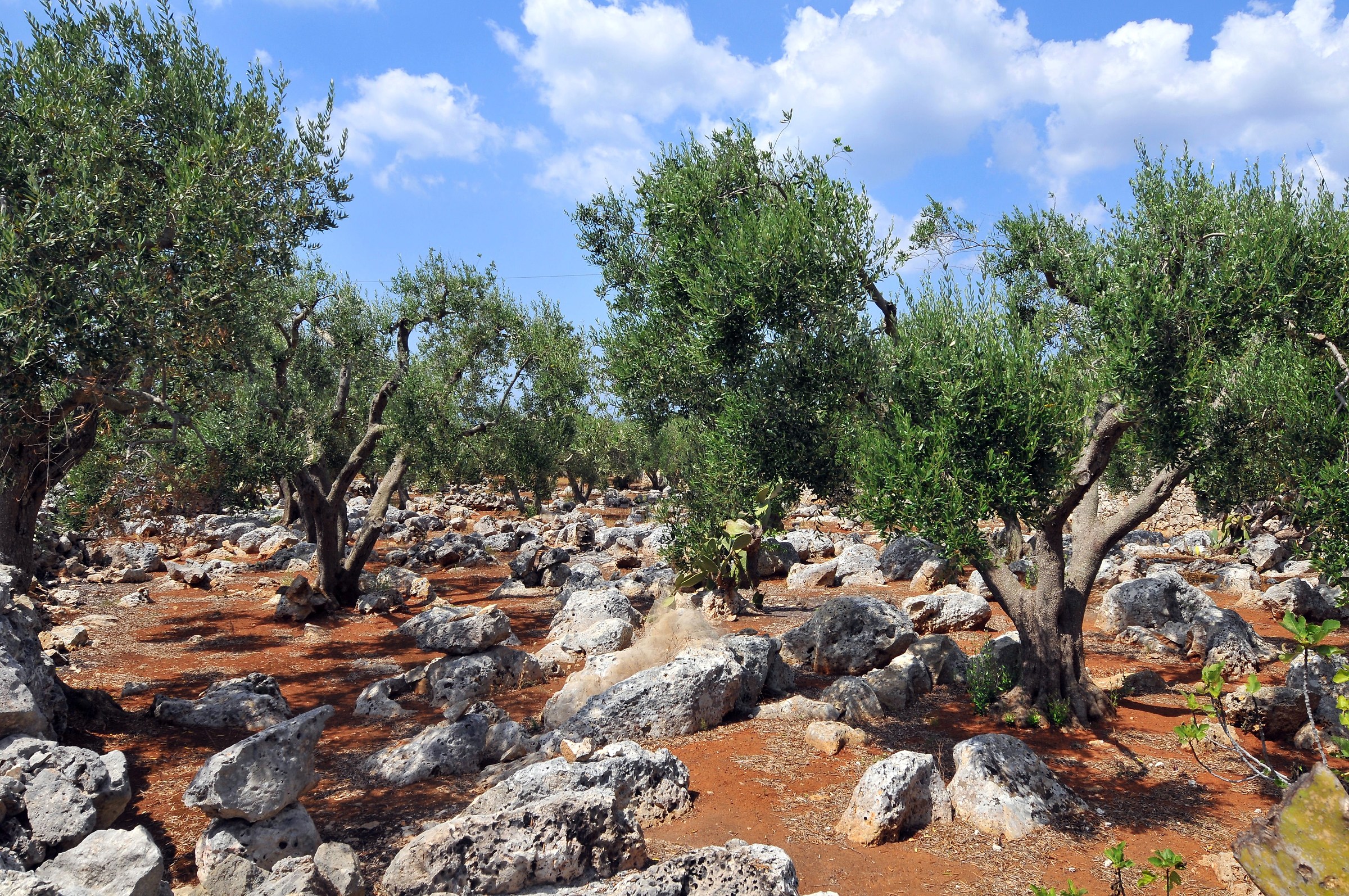 Panorami dal Mondo 2