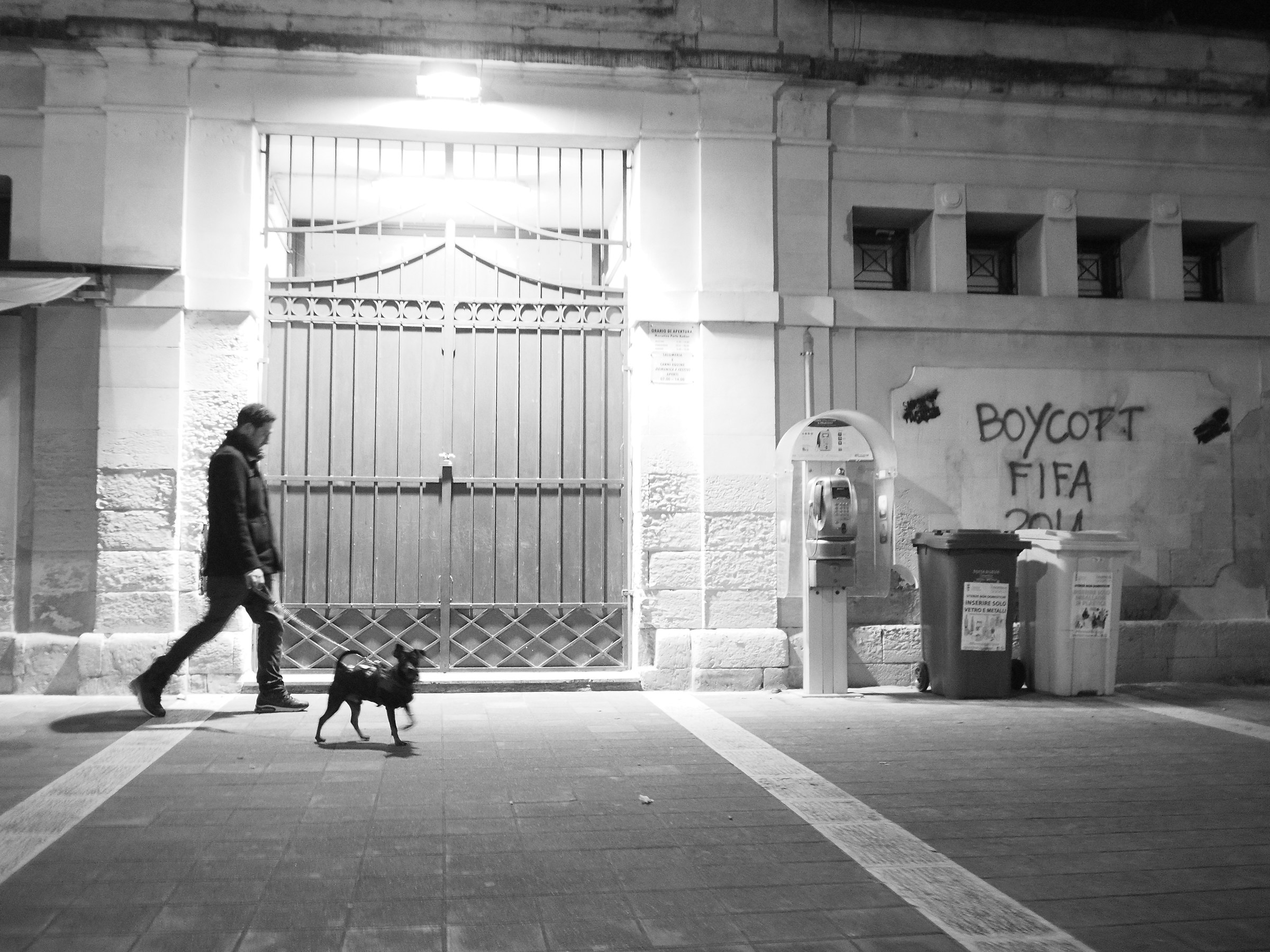 Passeggiata con il cane