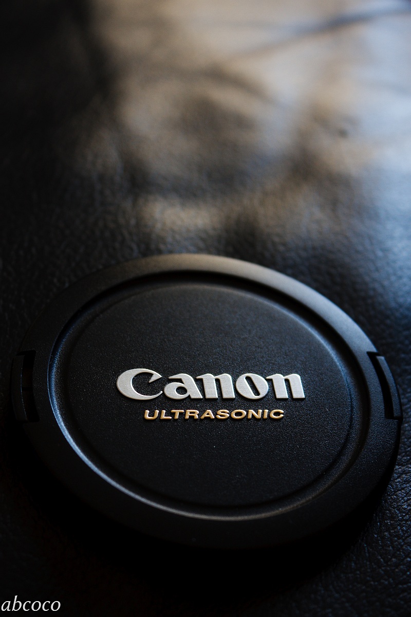 Canon Ultrasonic