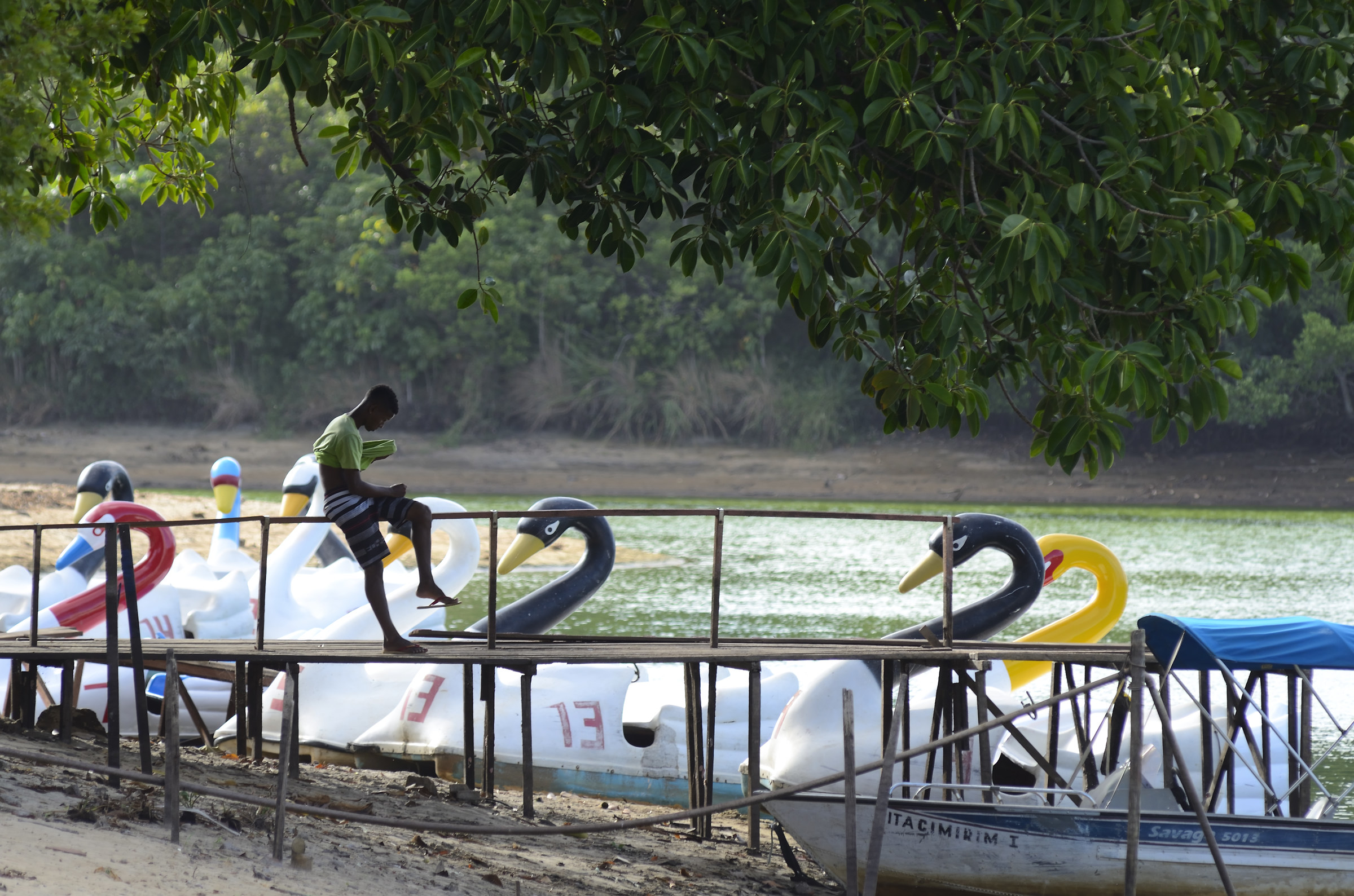 The boy and the boat