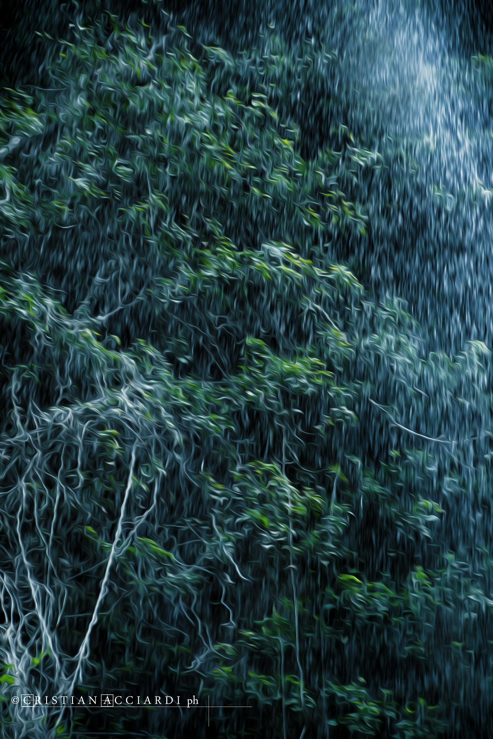 Qualche pennellata alla natura