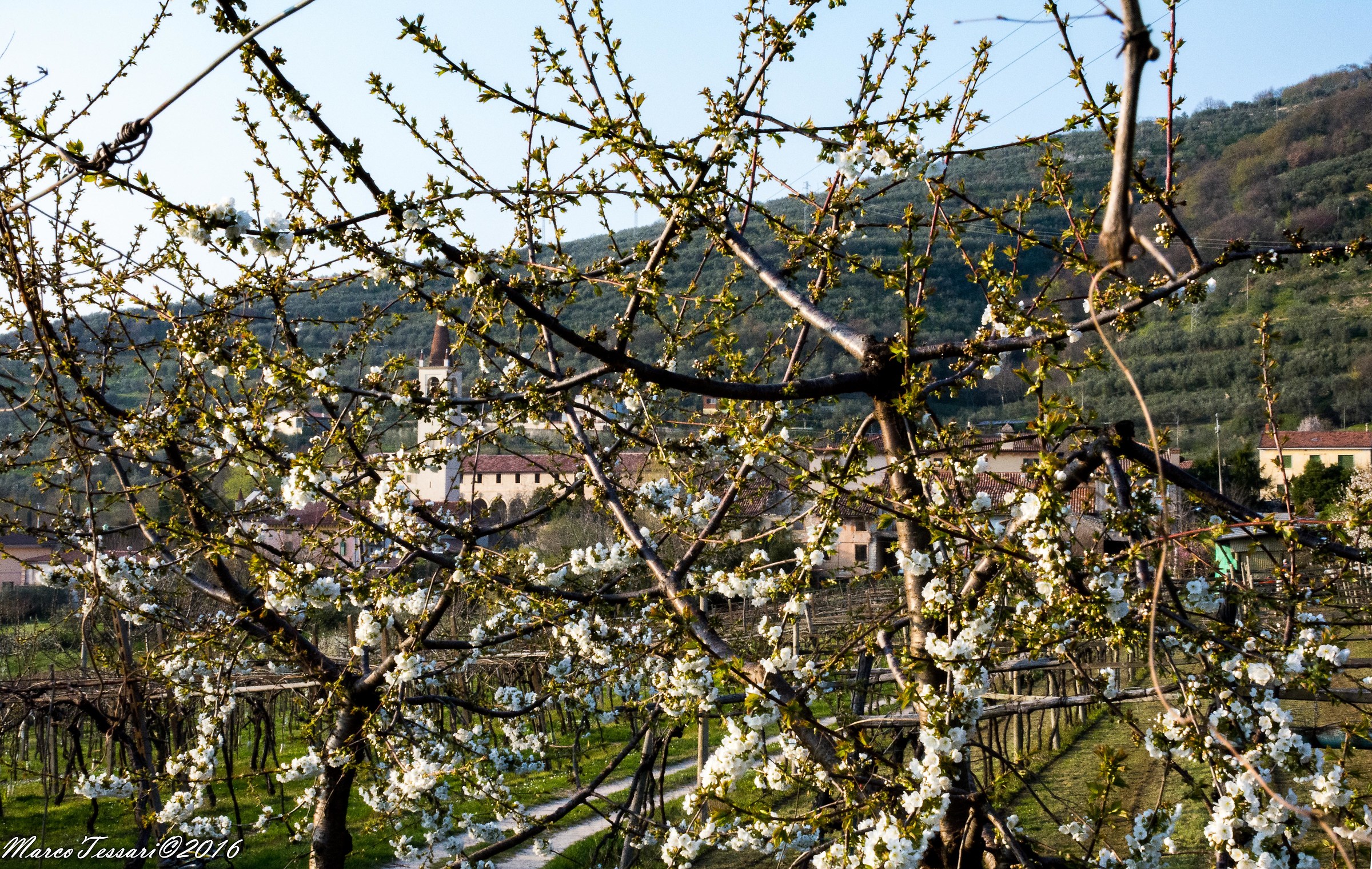 Santa Maria in Stelle - Verona