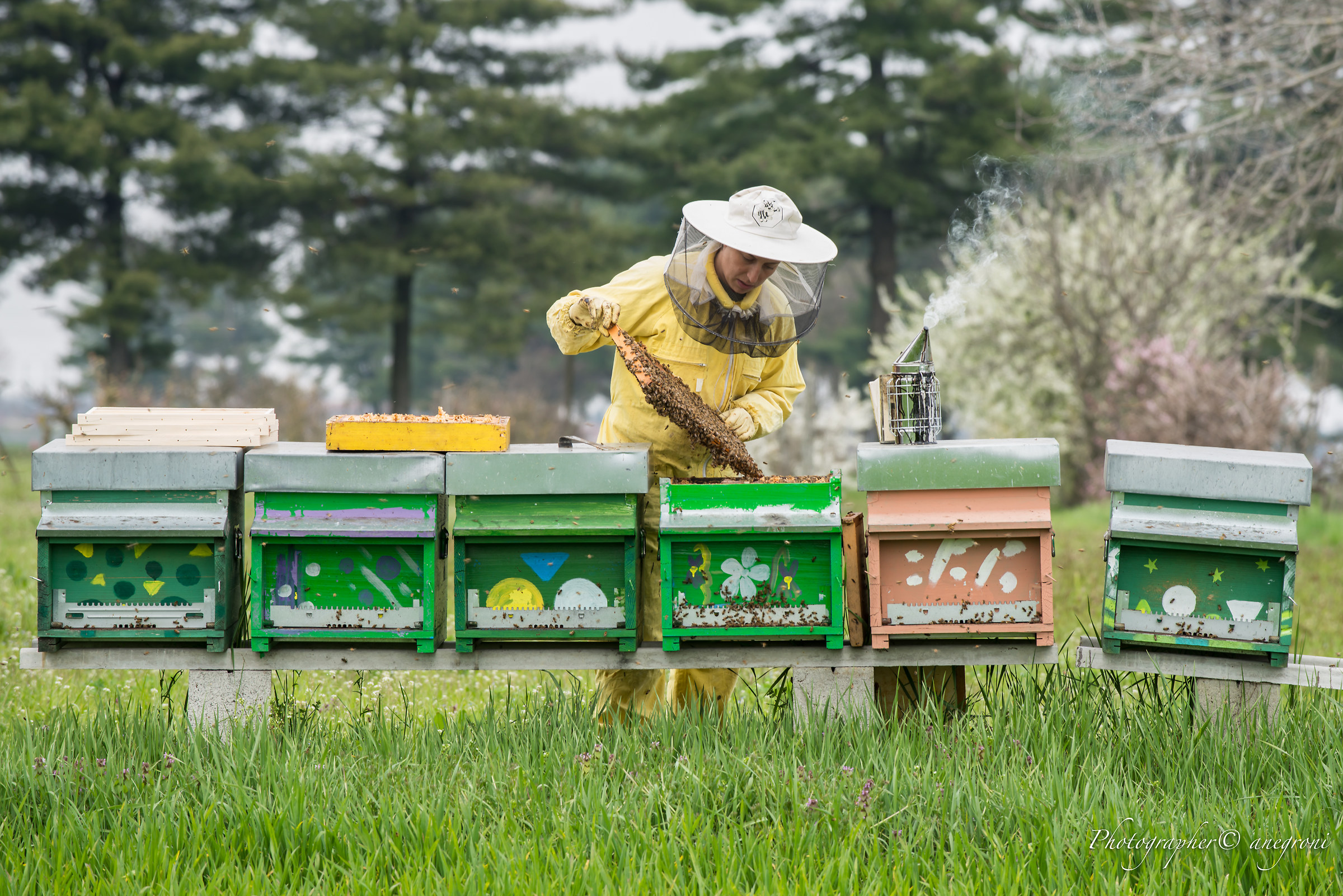 beekeeper