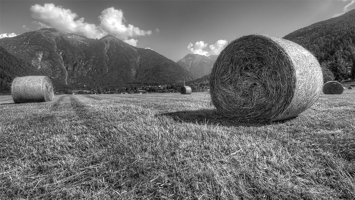 Rotoballe in Val Rendena