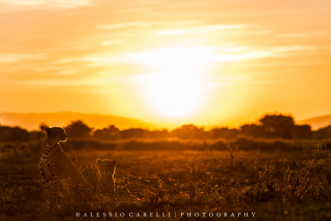 The dawn of a new day