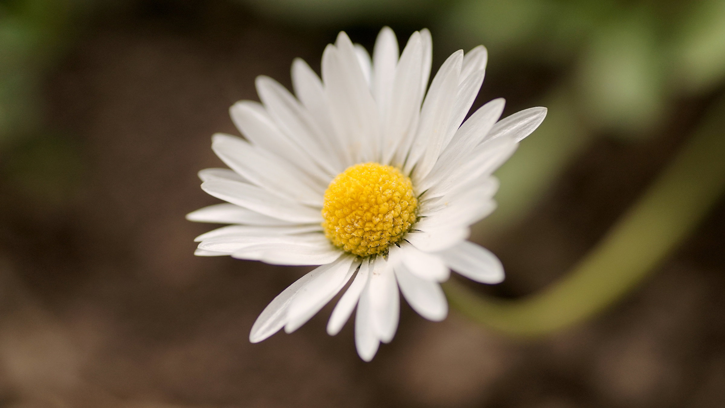 the spring is coming