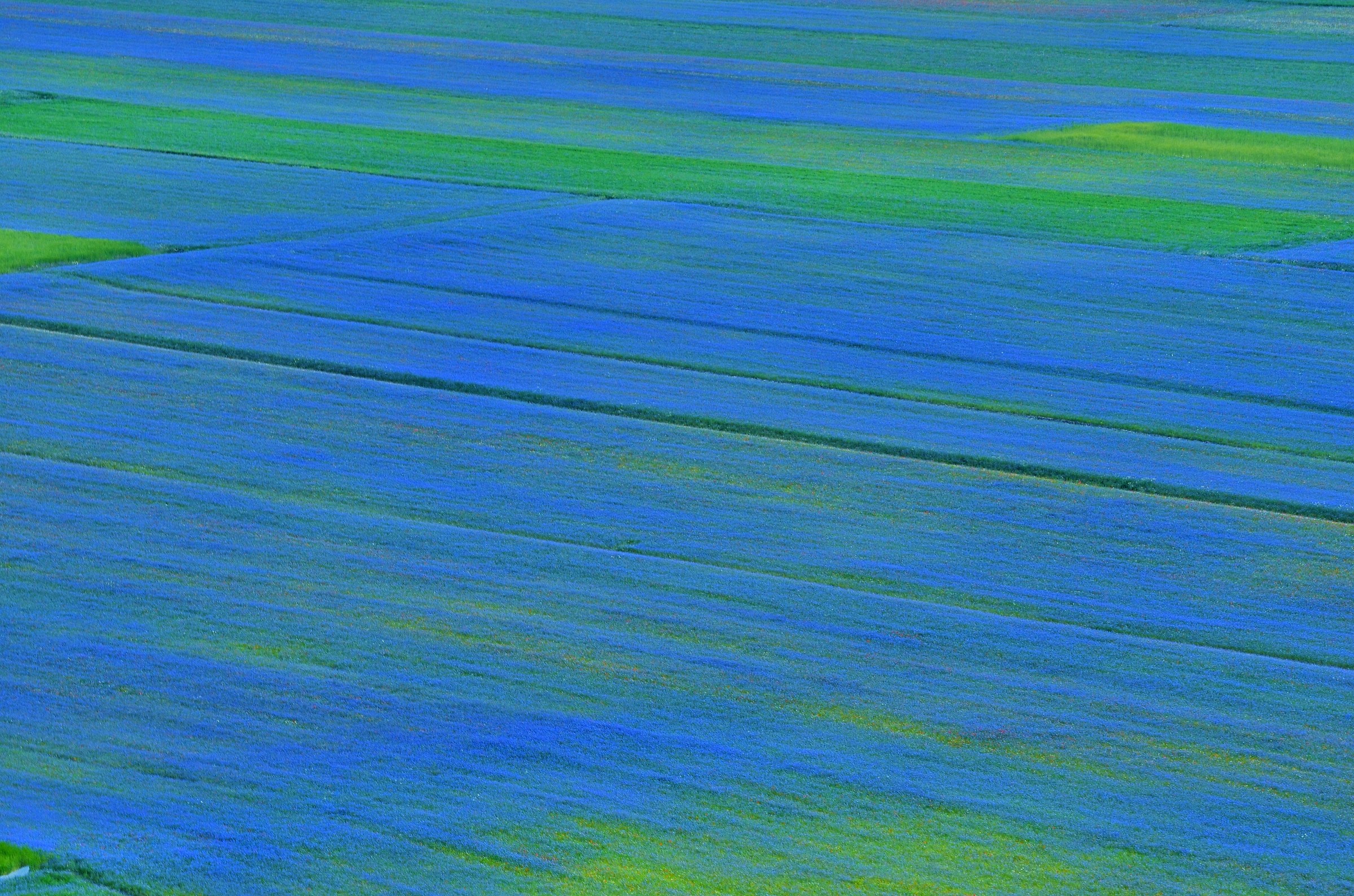 Il mare di Castelluccio