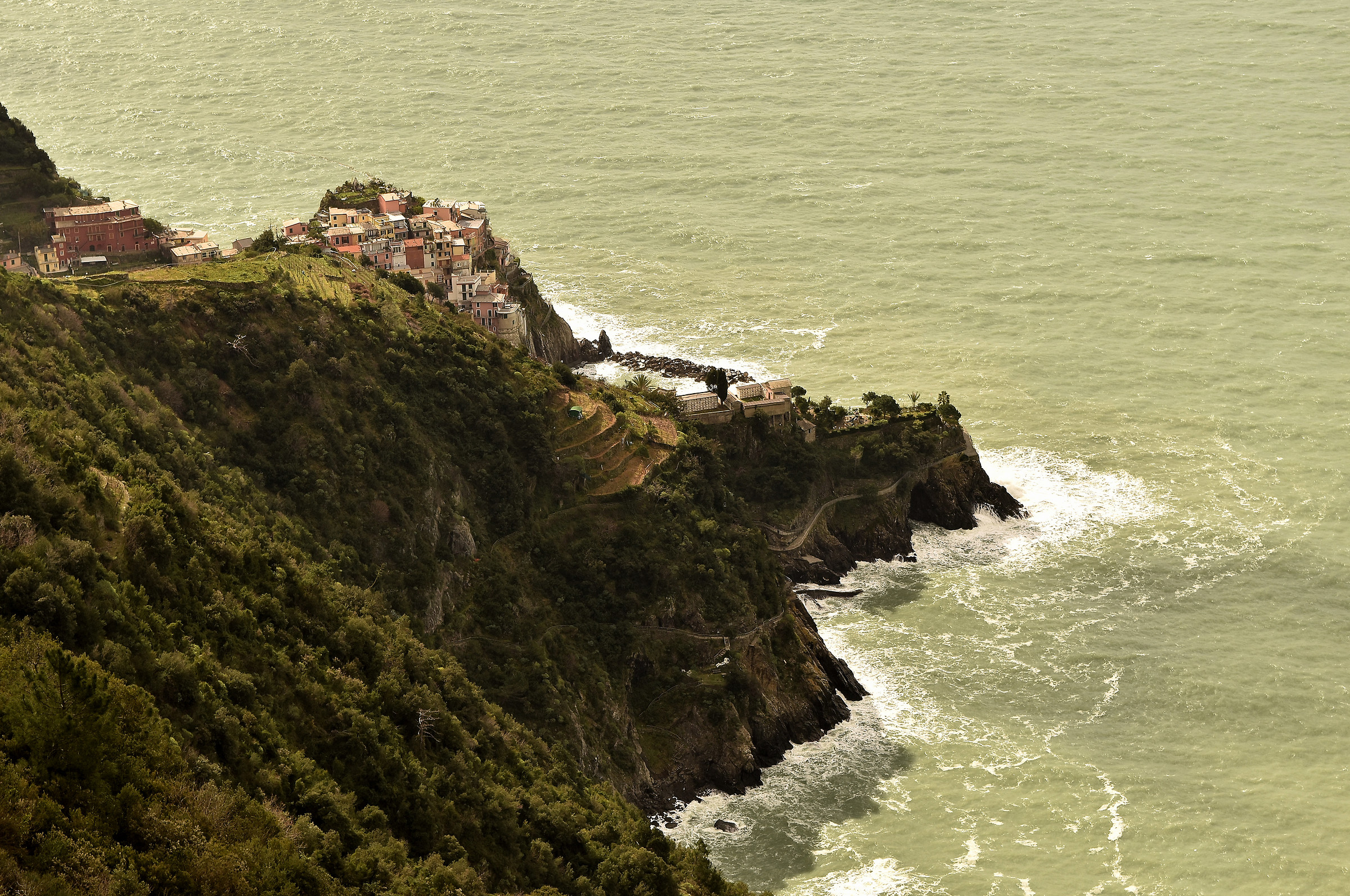 Manarola dall'alto