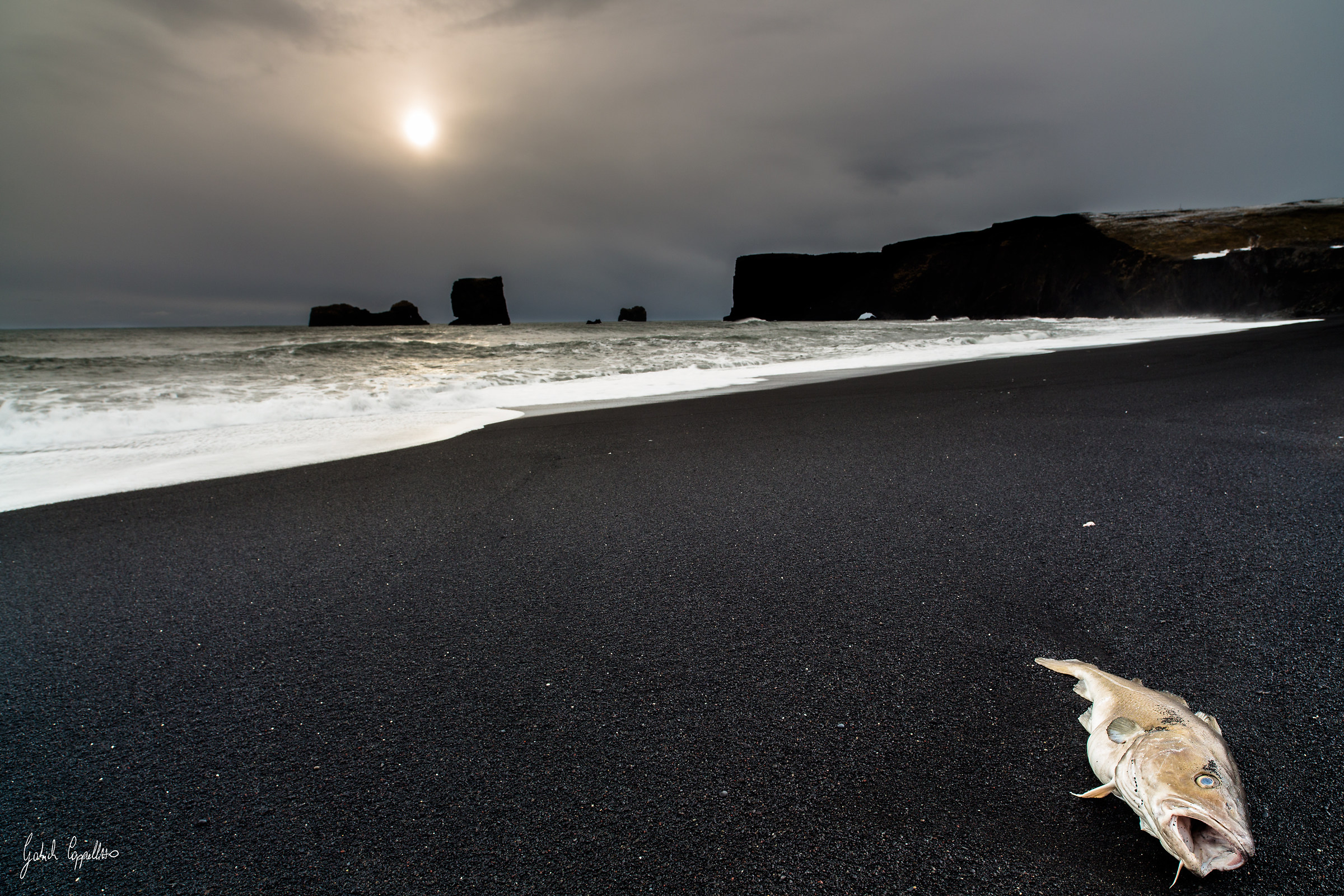 The Day After Tomorrow