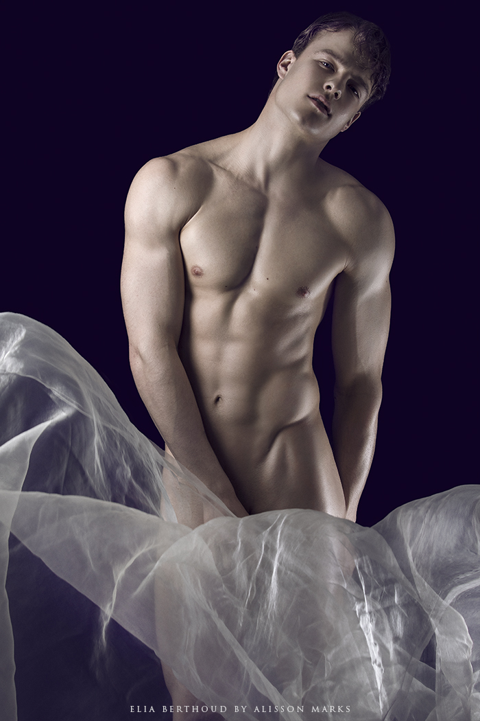 Elia in Curves Series