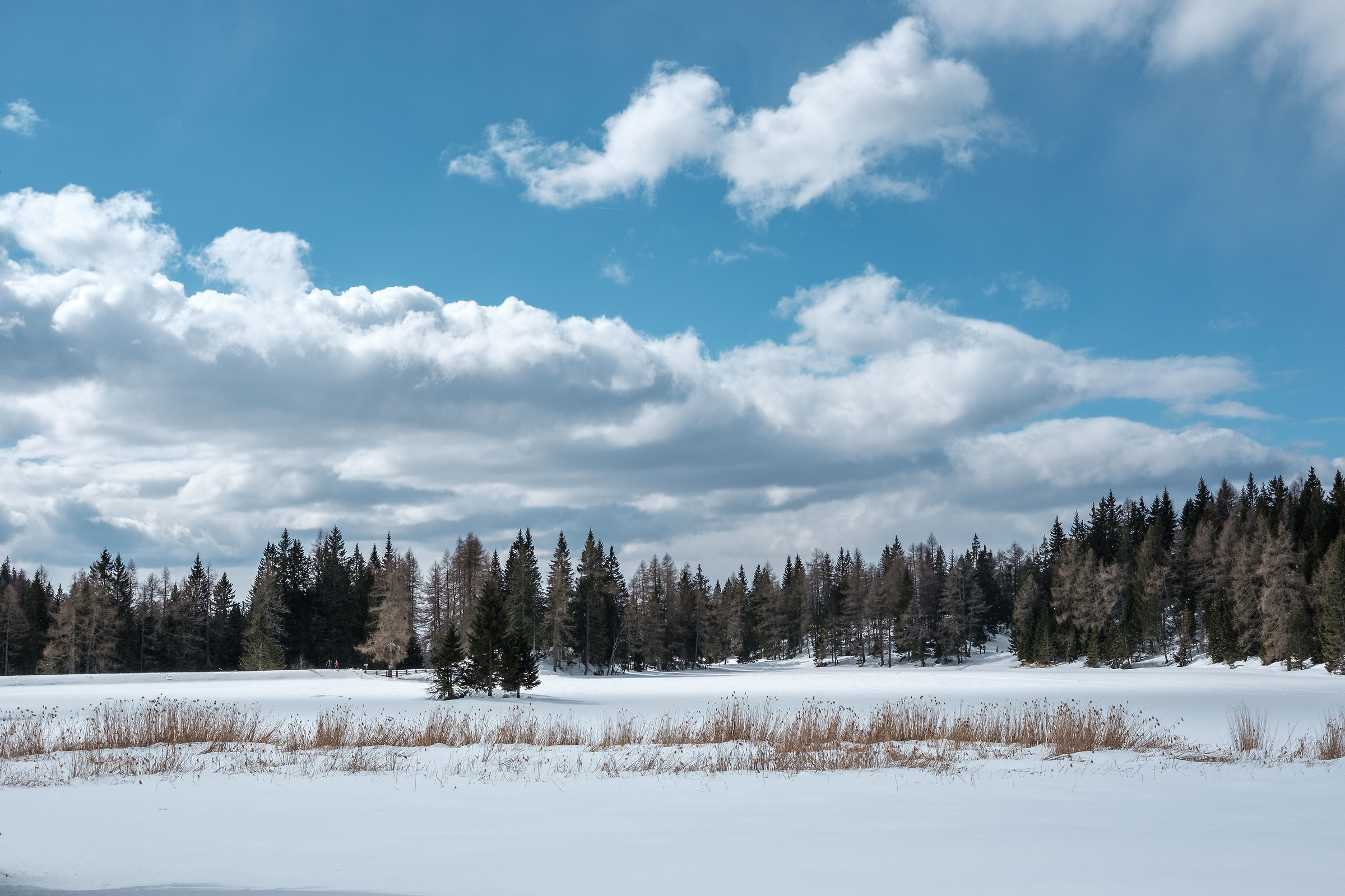 Winter sky
