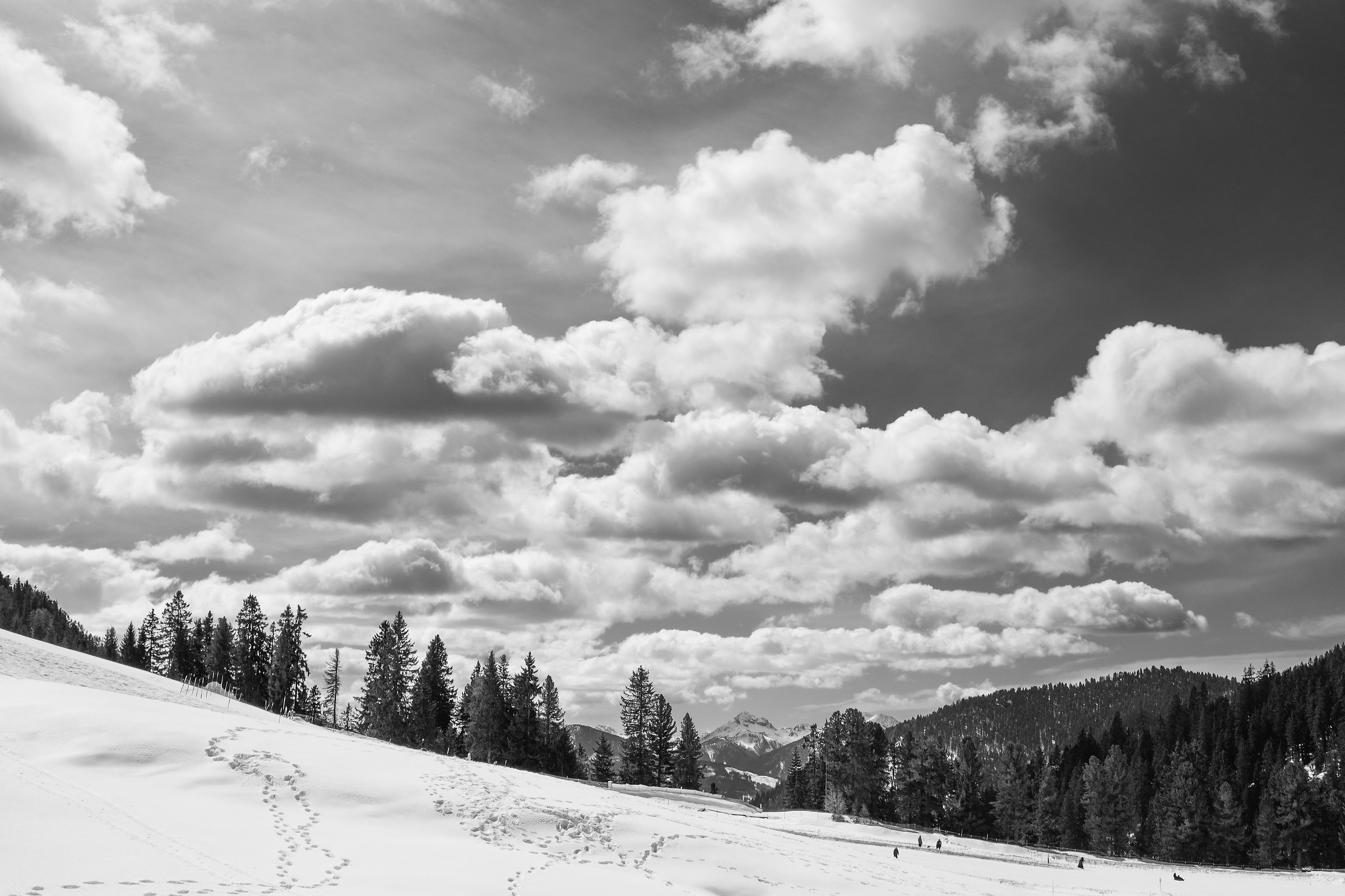 winter sky