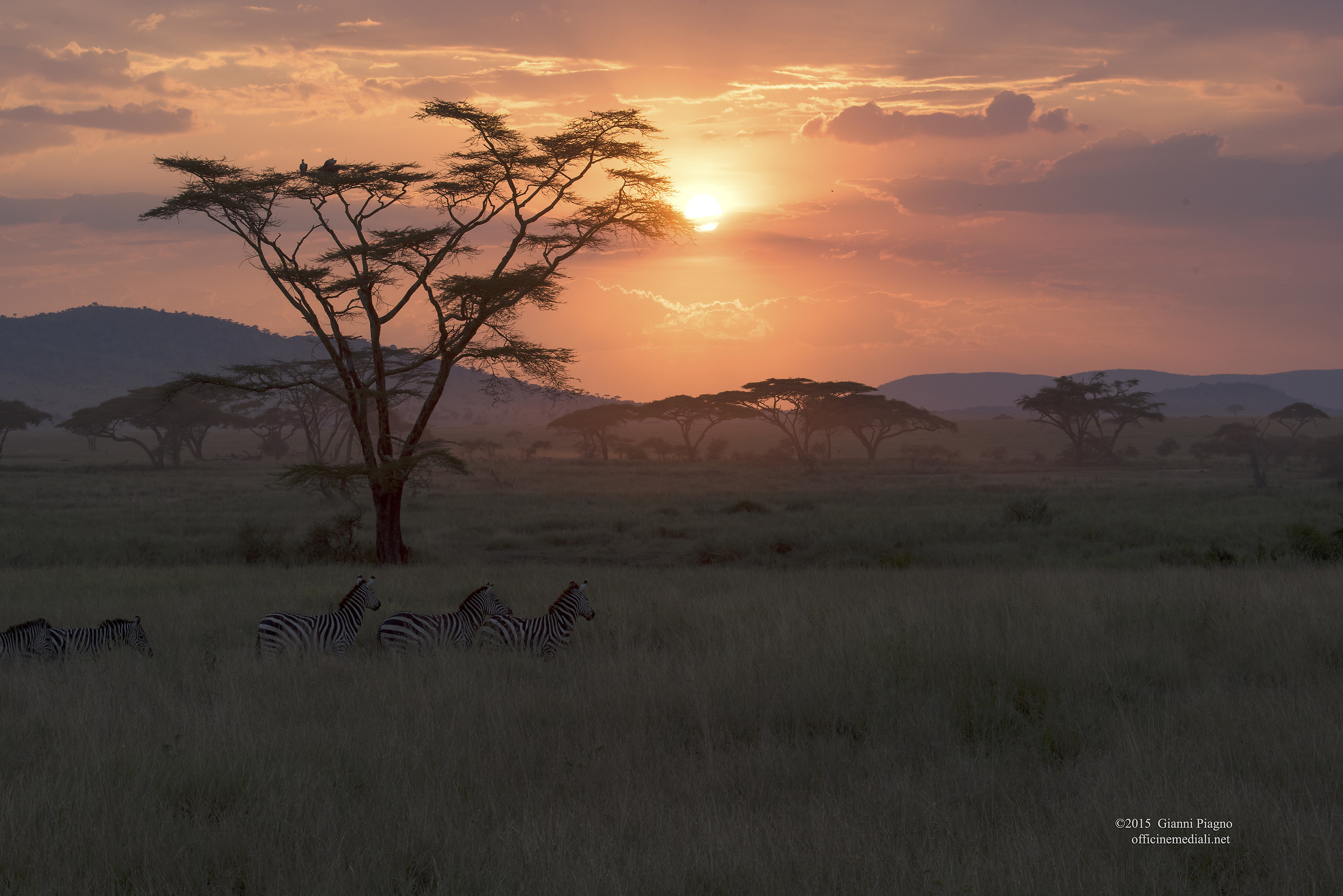 Tramonto sul Serengeti