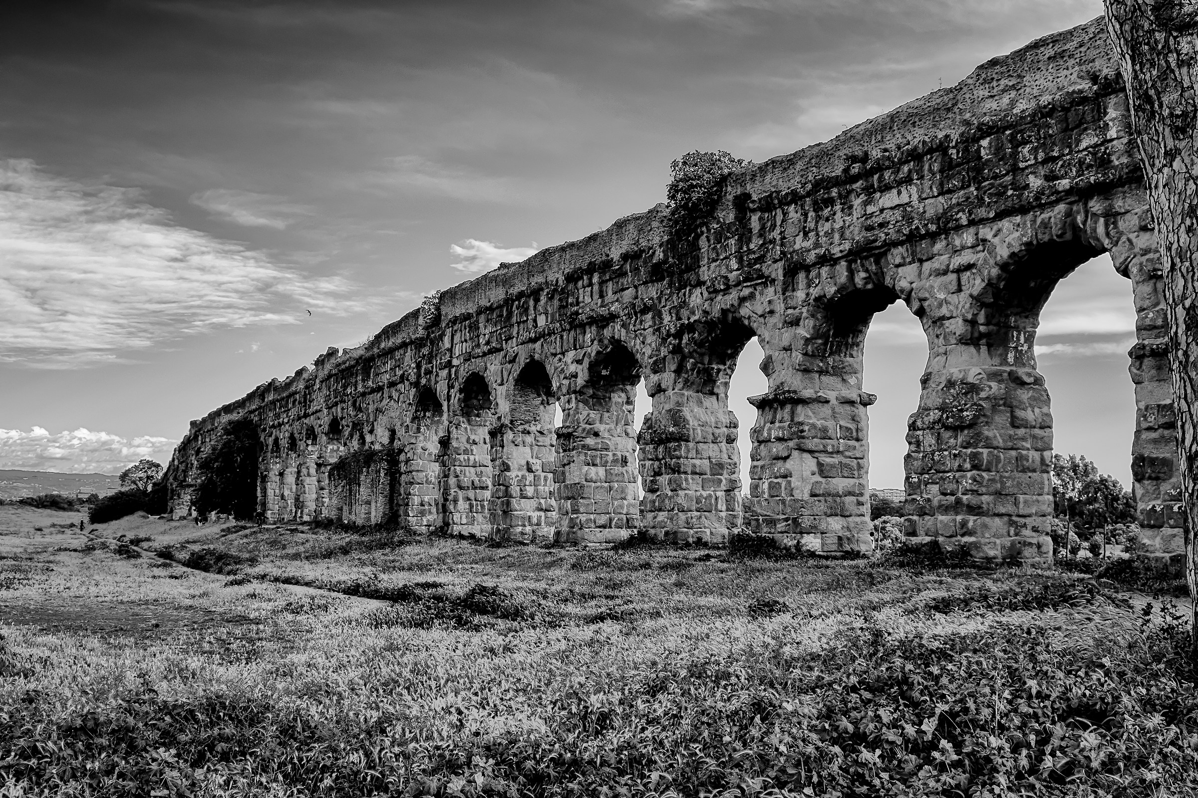 The Aqueduct