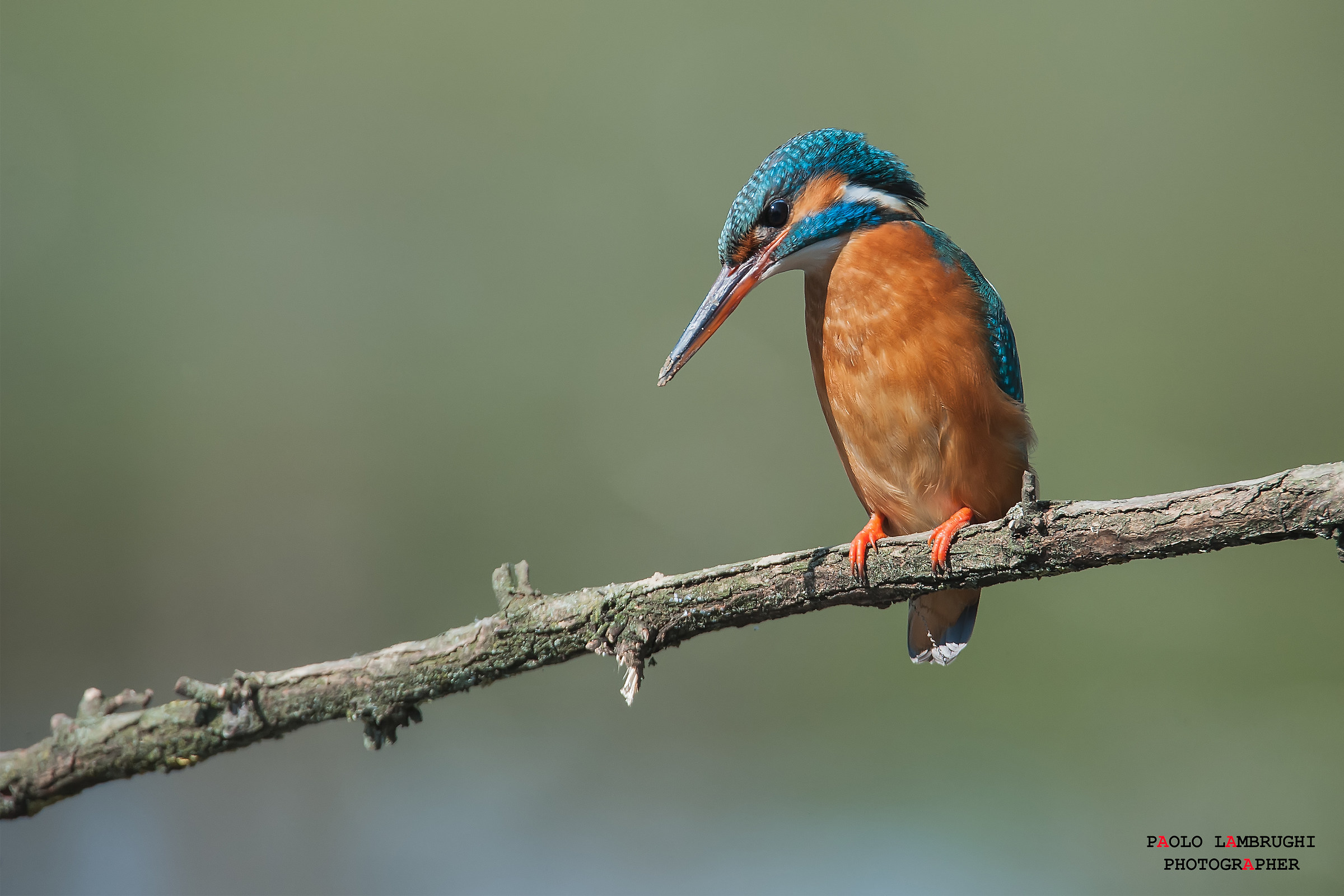 La mia prima Martina!!!