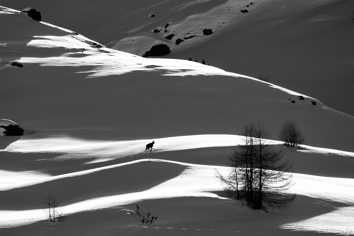 In the first caress of the sun ...