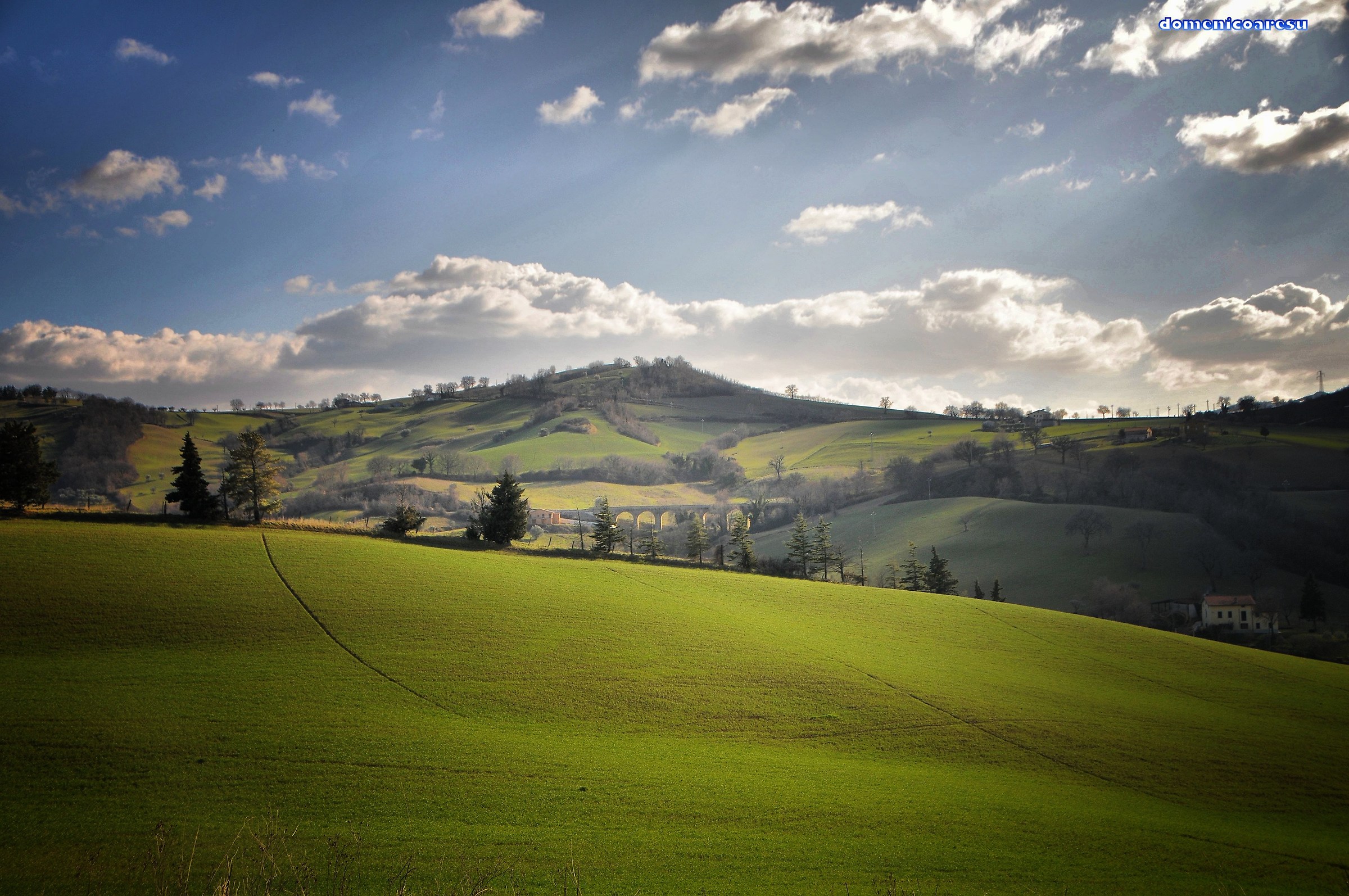 Views from the World 4