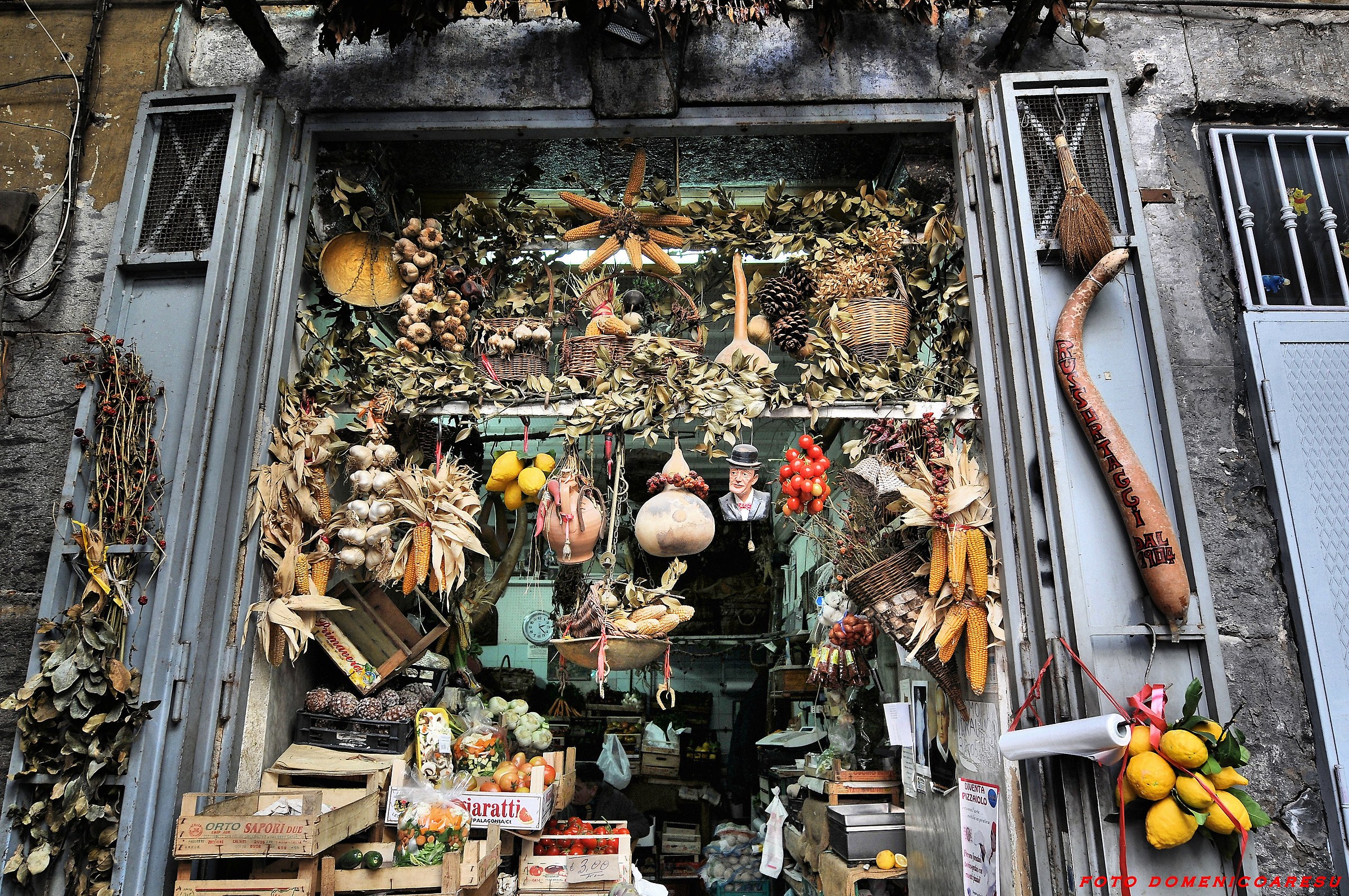 Views from the World 4