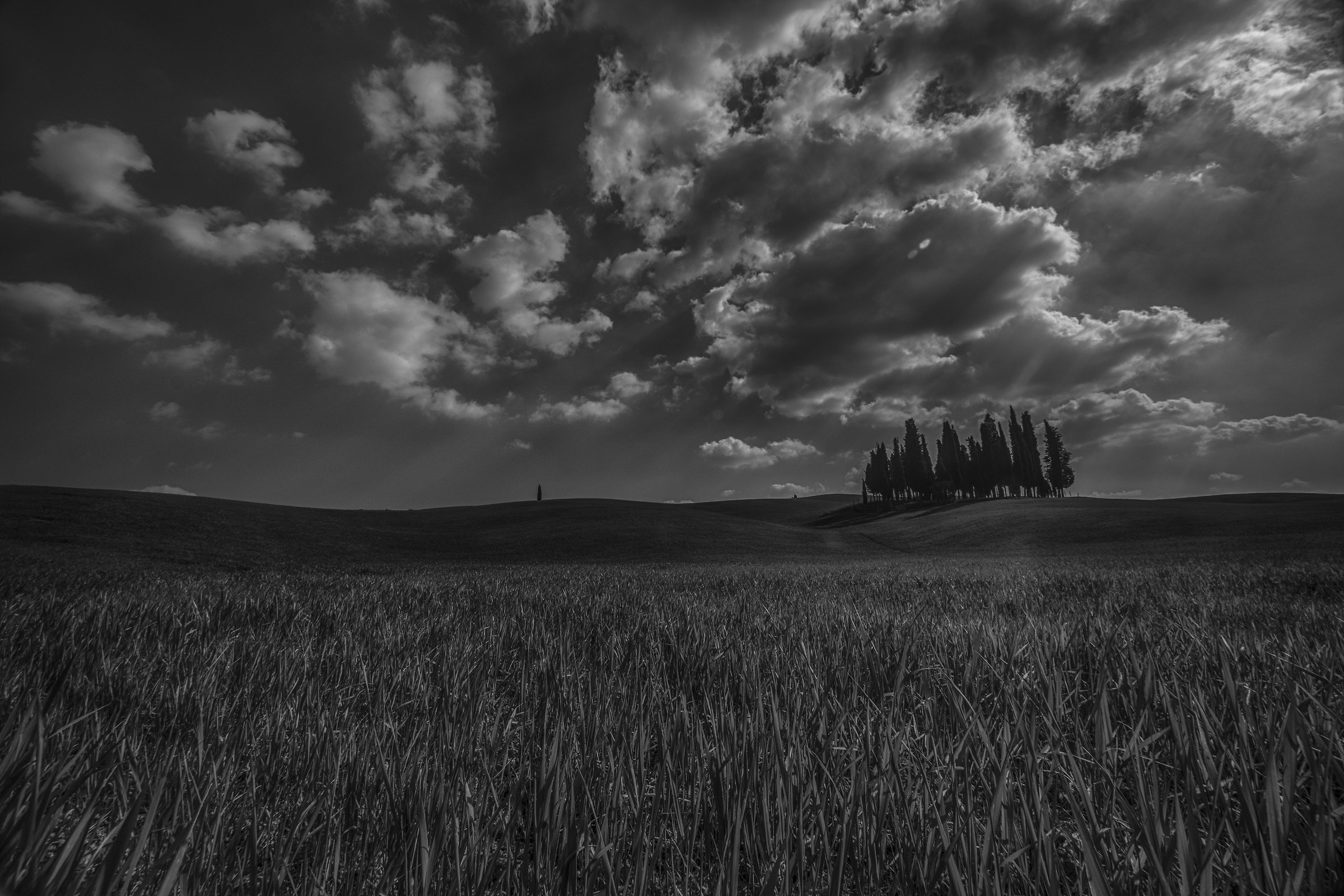 Val d'Orcia 3