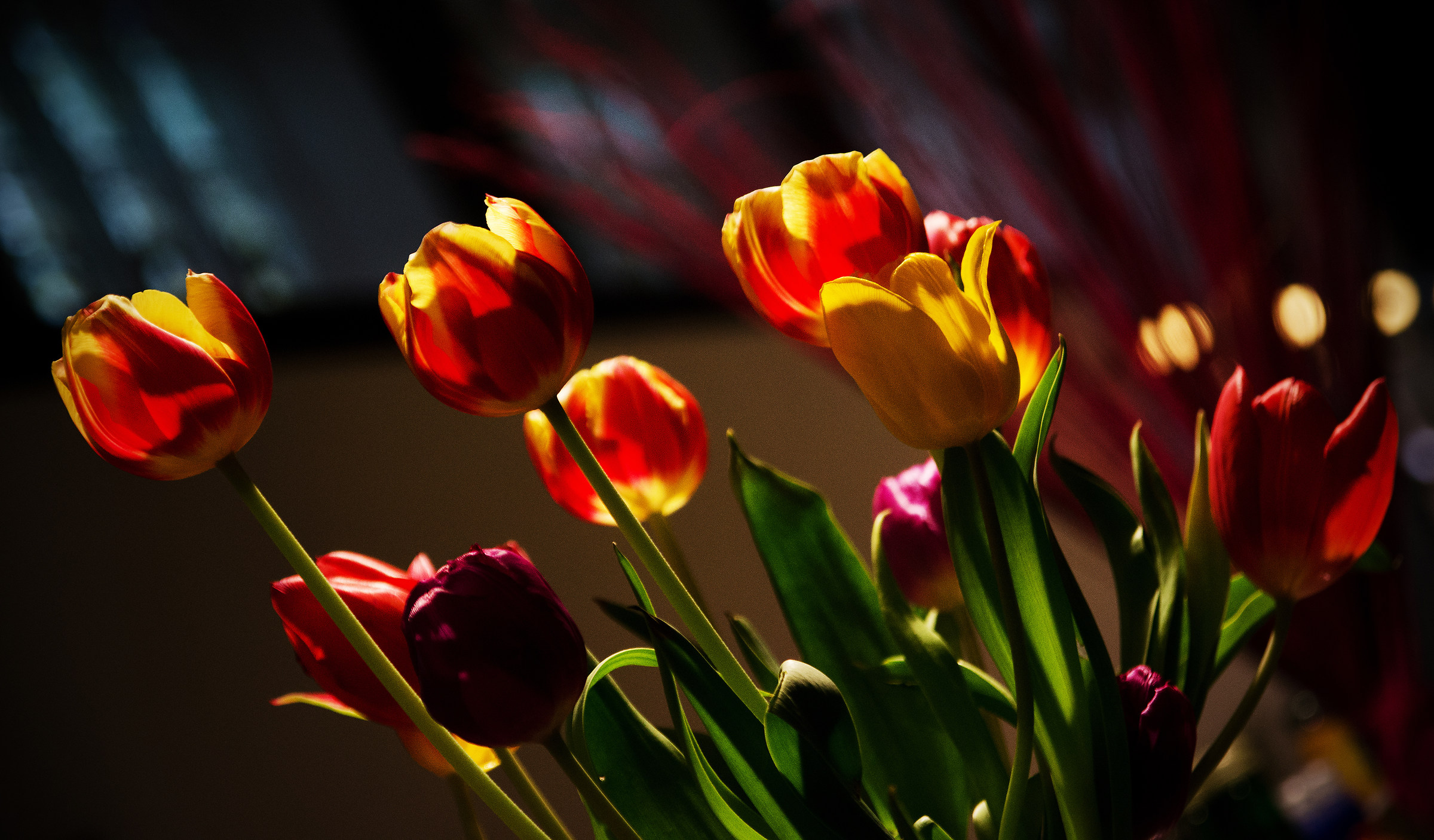 Tulips in Church