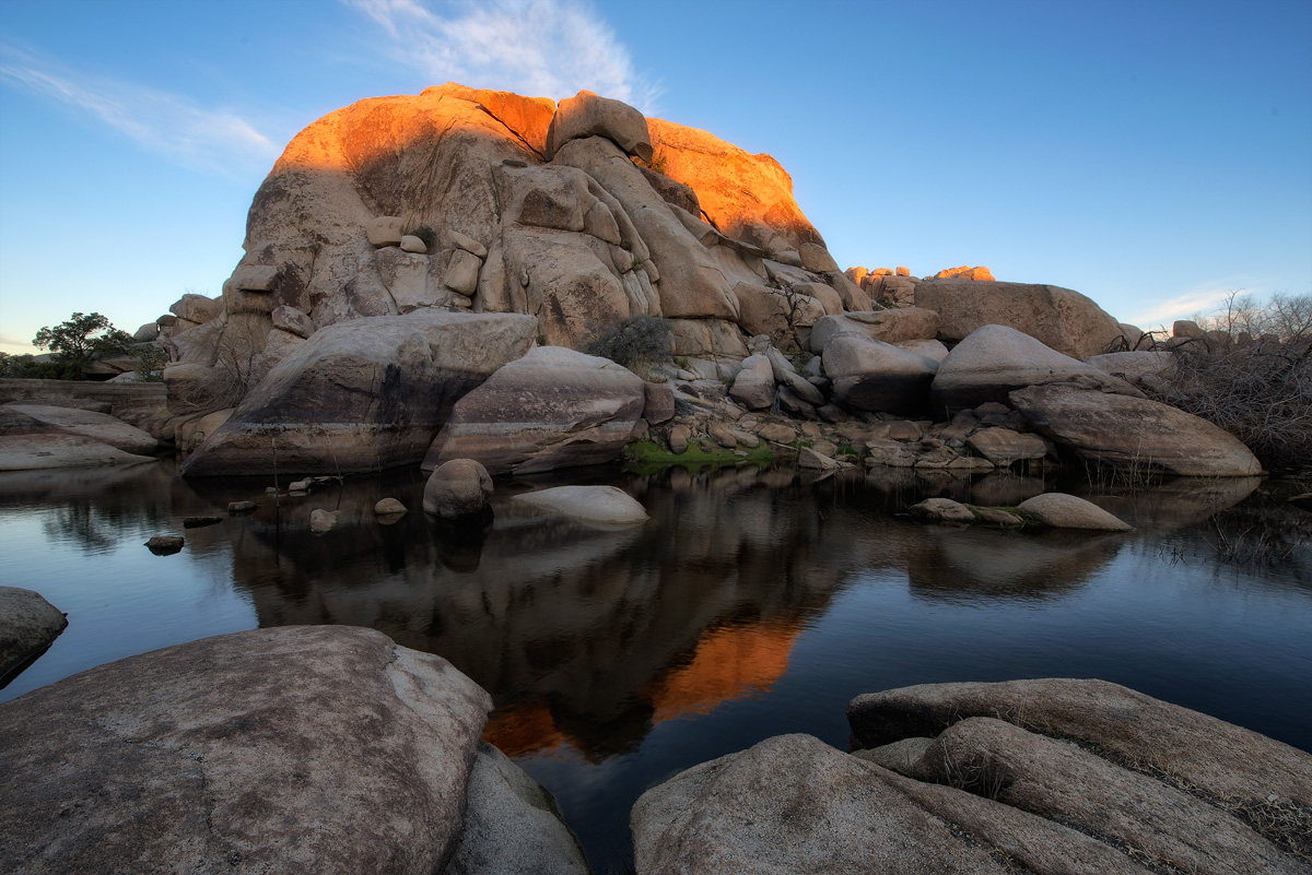 Joshua Tree, morning light