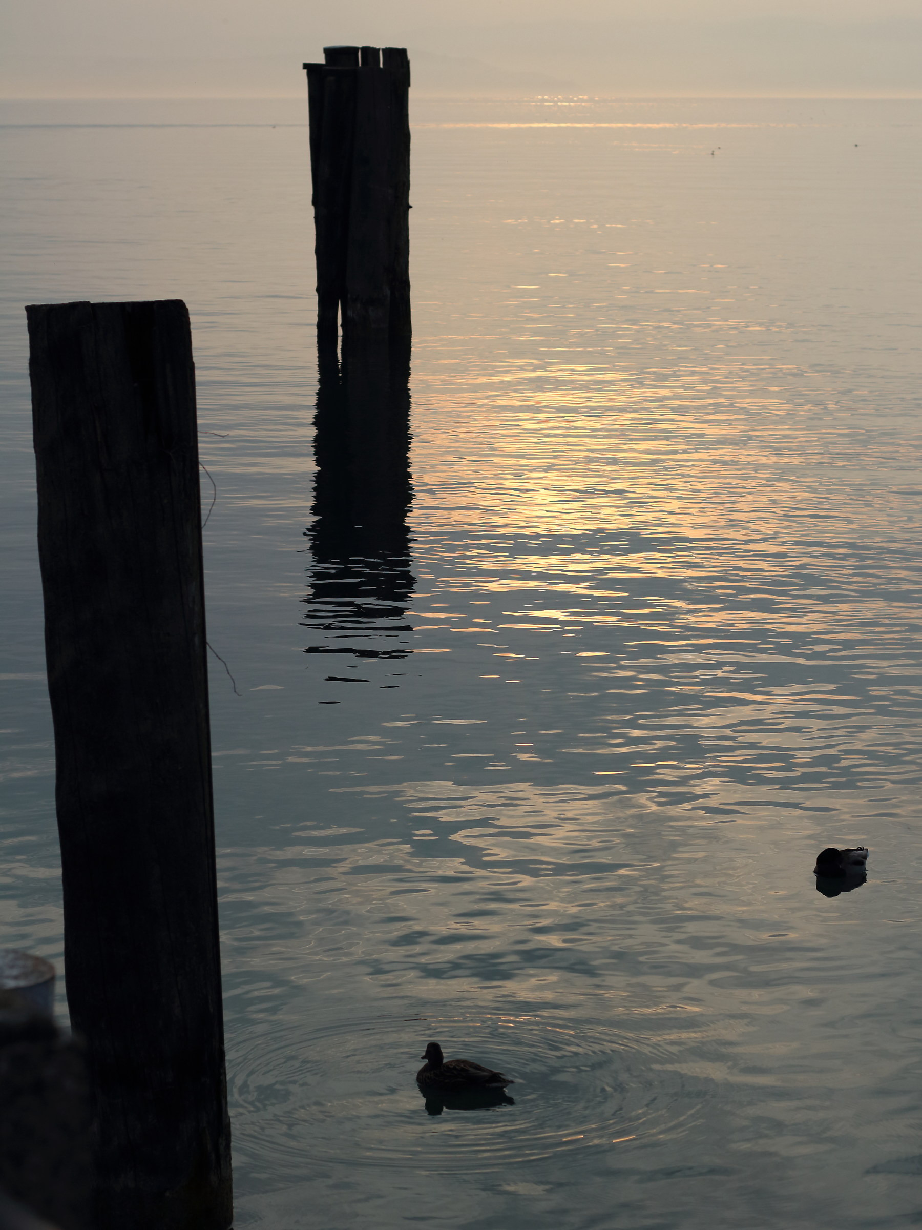 Reflections on Lake Garda